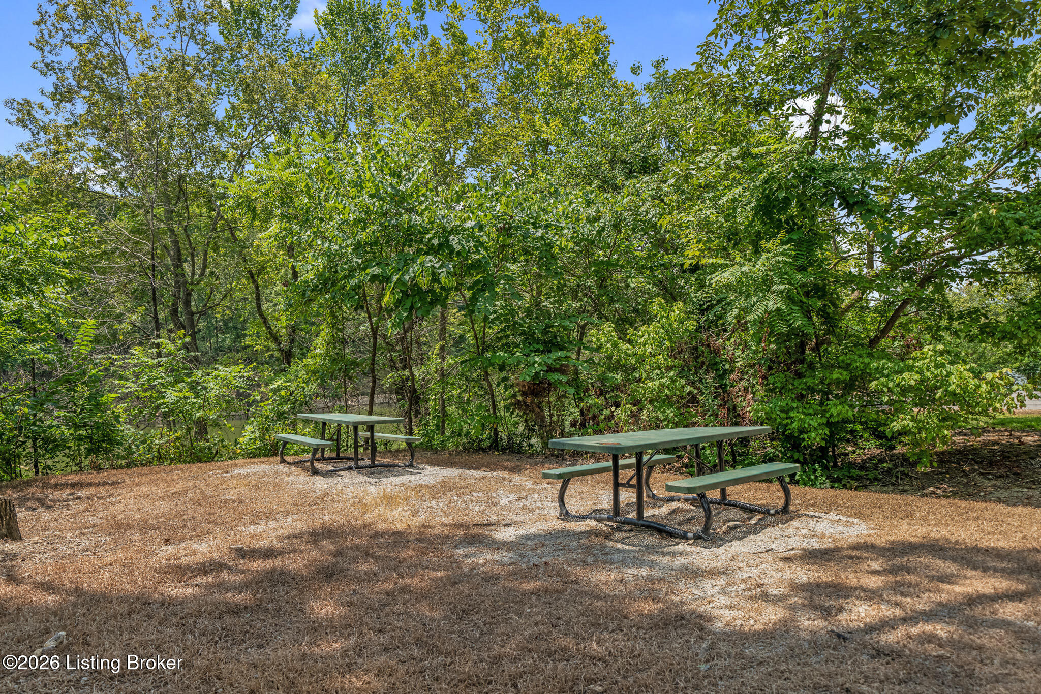 11 Vivienne Trace Property Photo 47