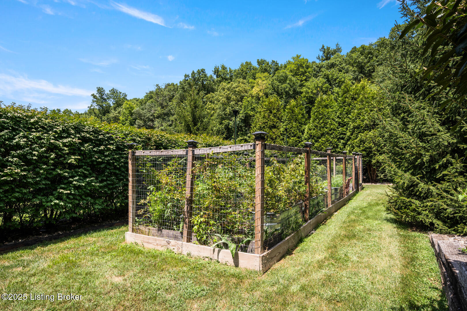 1779 Long Branch Fork Rd Property Photo 85