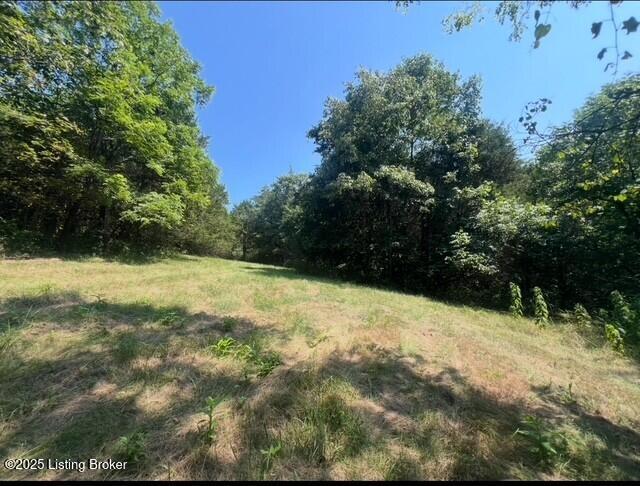 1779 Long Branch Fork Rd Property Photo 91
