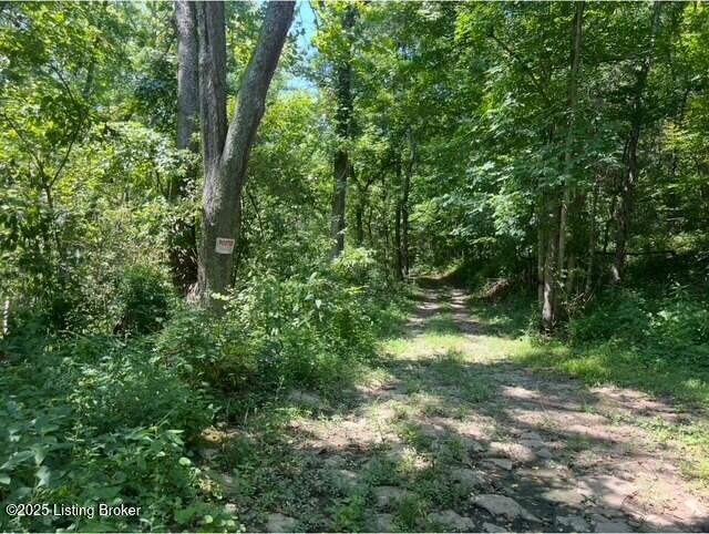 1779 Long Branch Fork Rd Property Photo 92