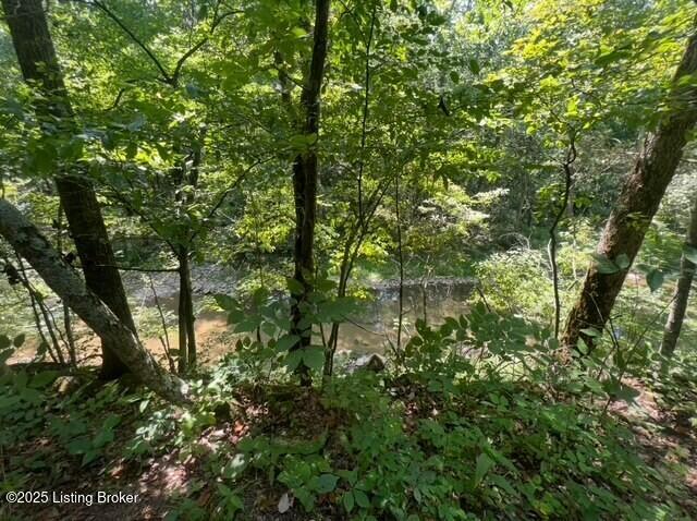 1779 Long Branch Fork Rd Property Photo 93