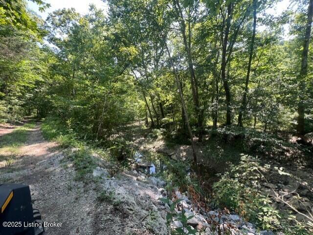 1779 Long Branch Fork Rd Property Photo 97