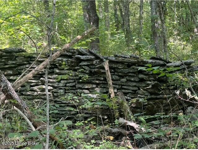 1779 Long Branch Fork Rd Property Photo 98