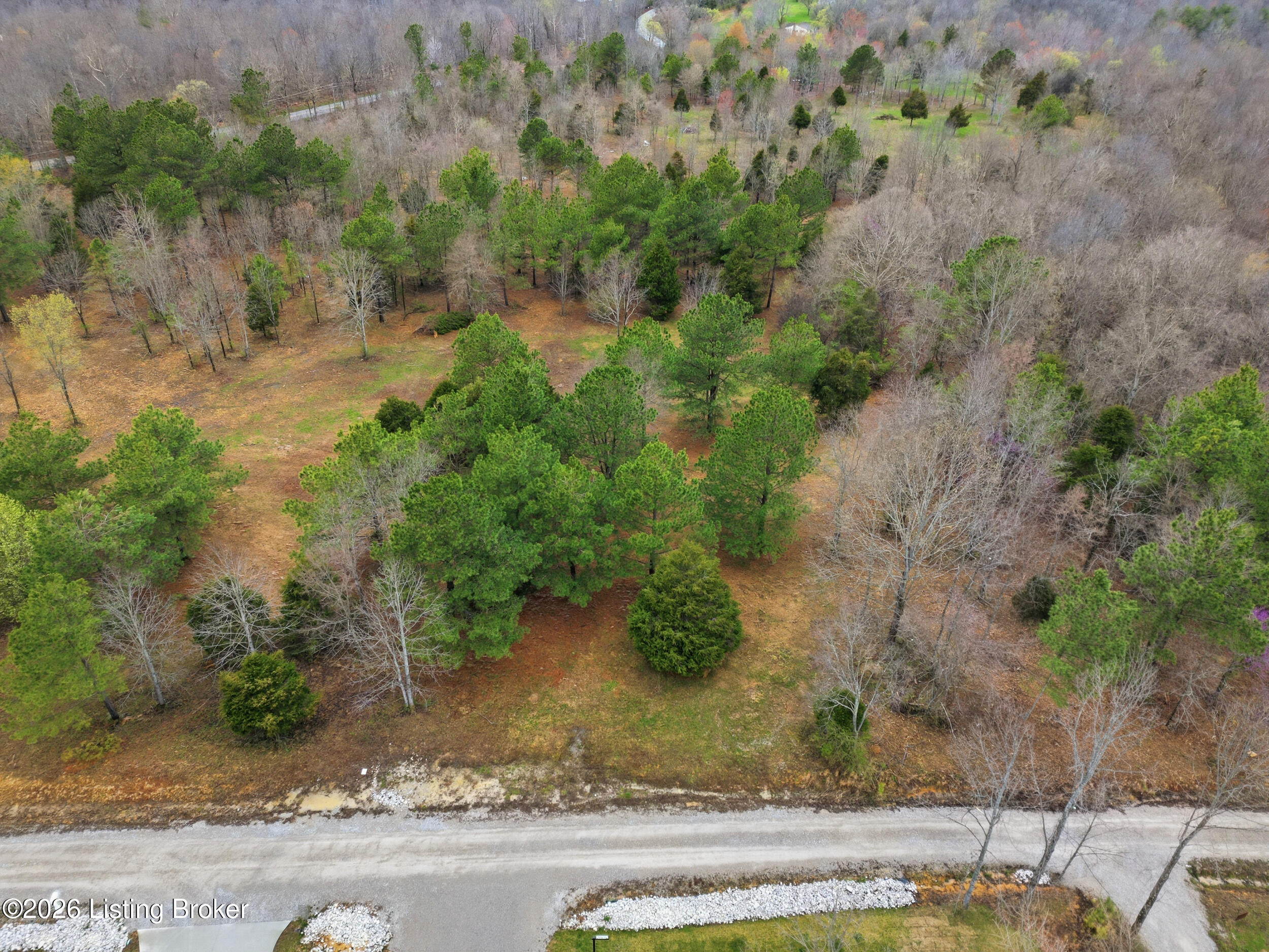 Lot 1B Pine Trail Property Photo 1