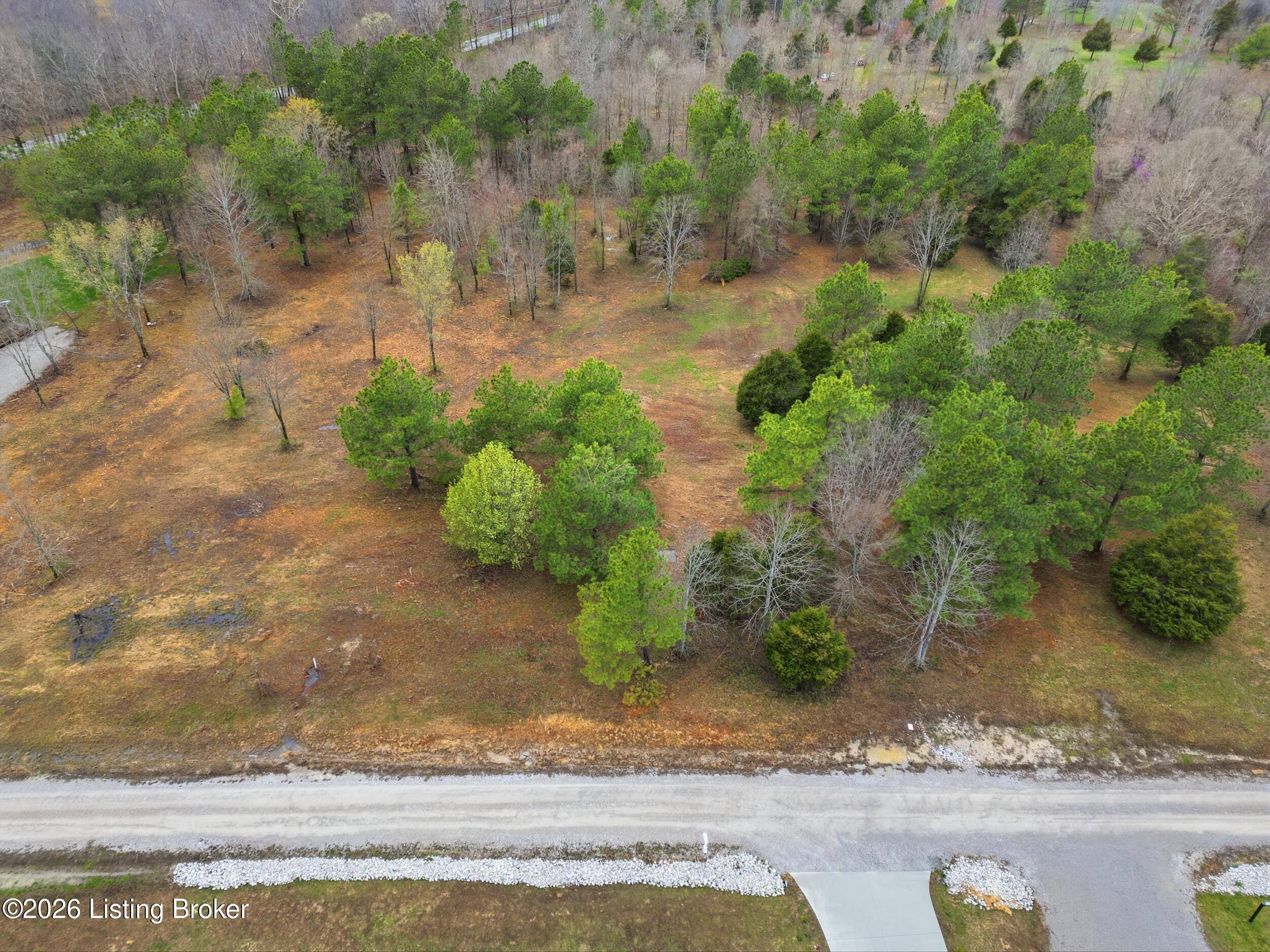 Lot 1c Pine Trail Property Photo 1