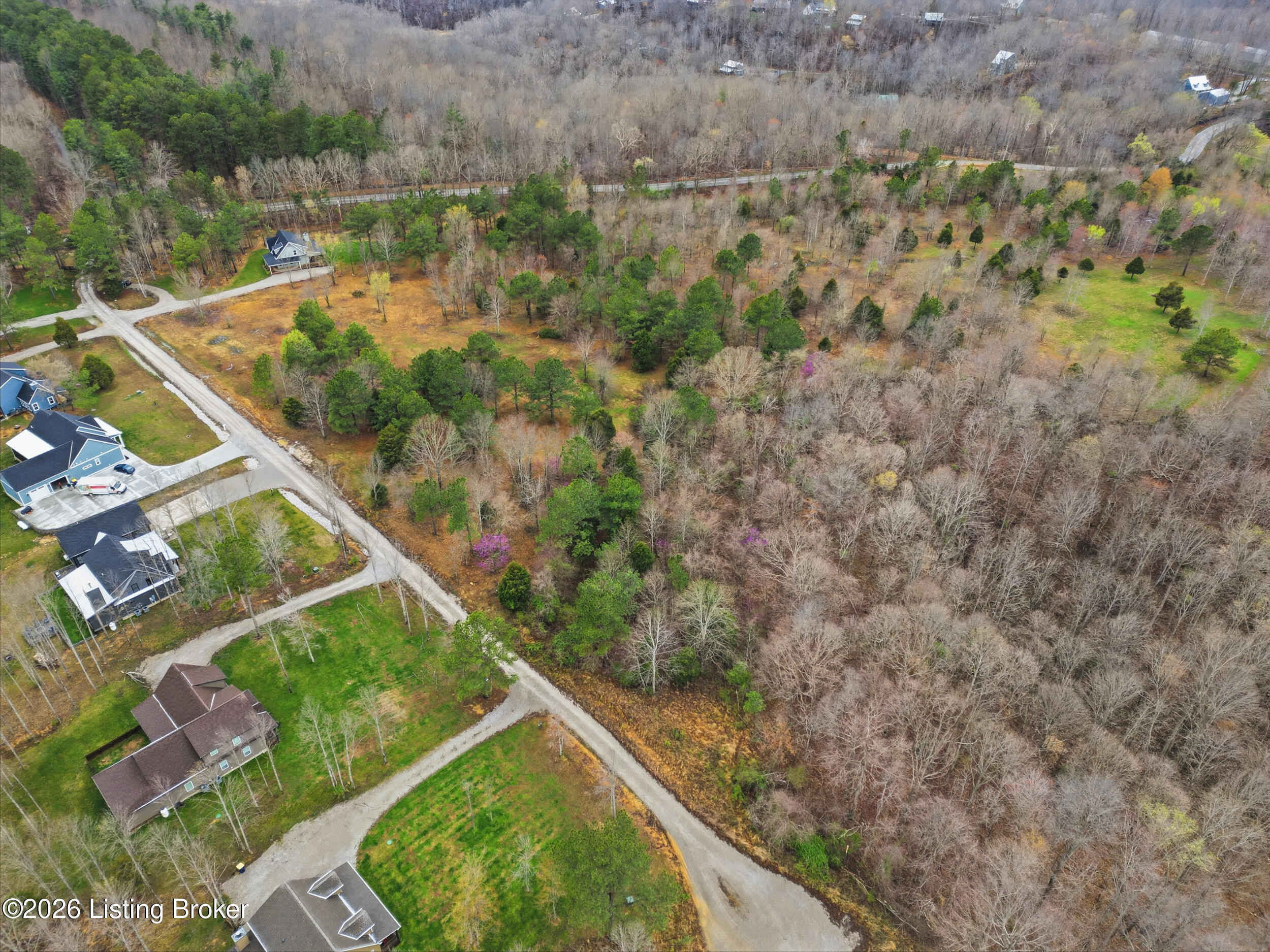 Lot 1c Pine Trail Property Photo 6