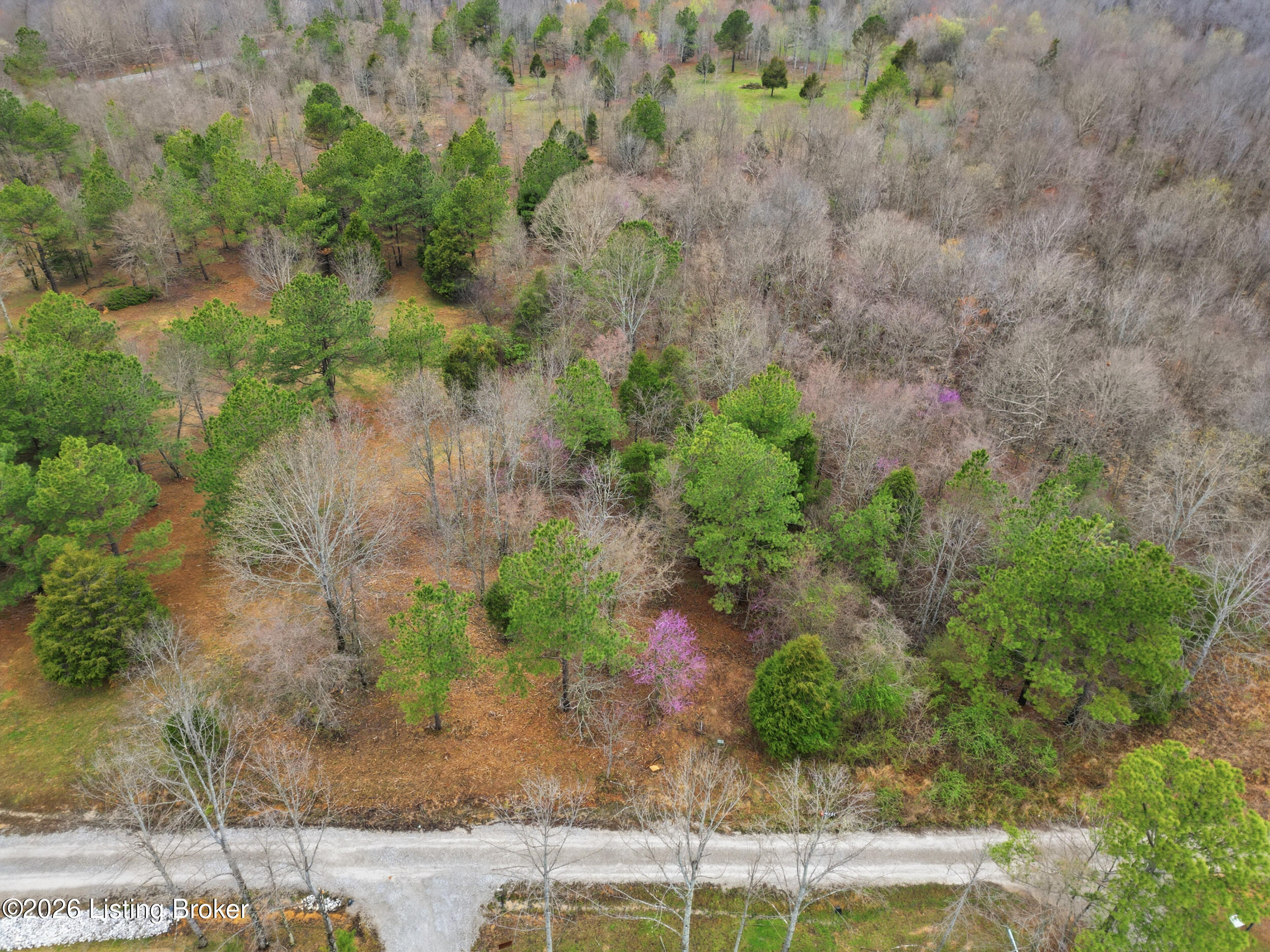 Lot 2 Pine Trail Property Photo 1