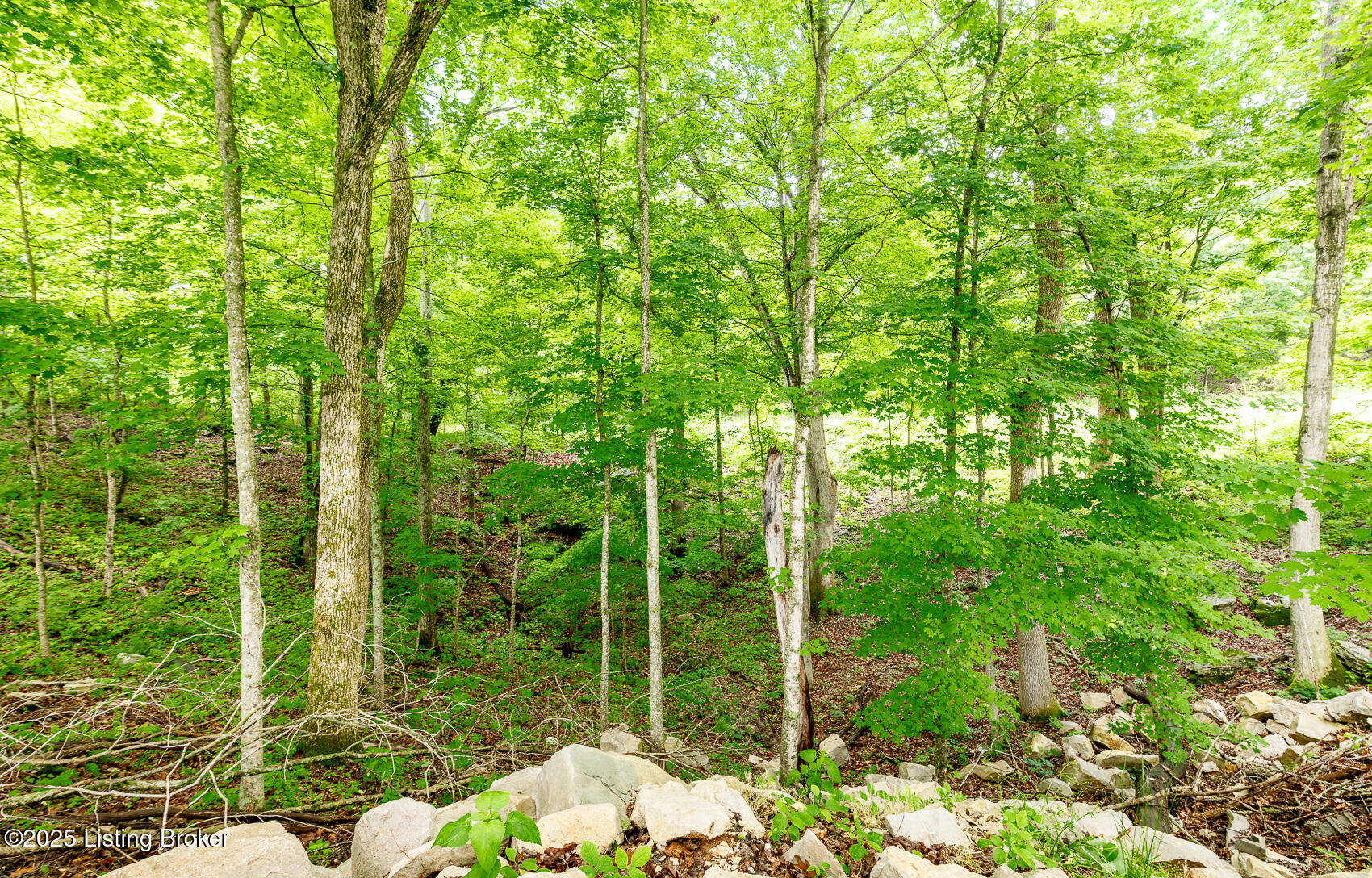 971 Constantine Rd Property Photo 59