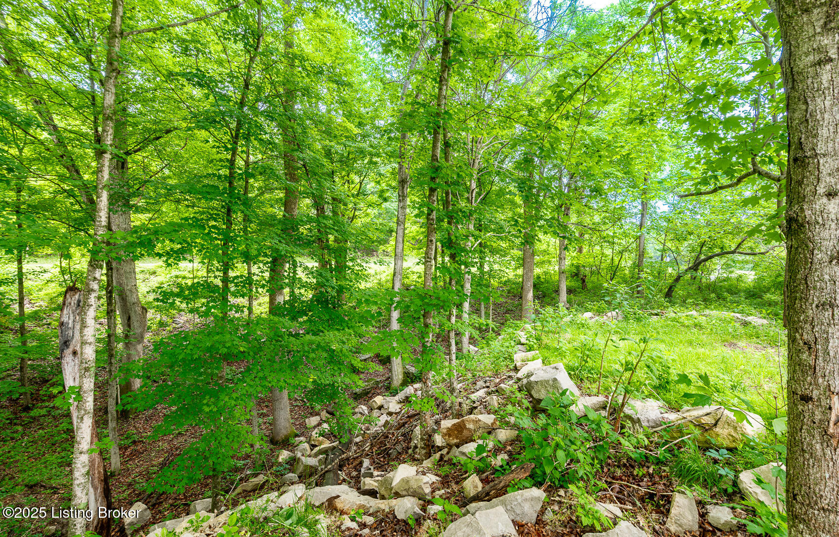 971 Constantine Rd Property Photo 60