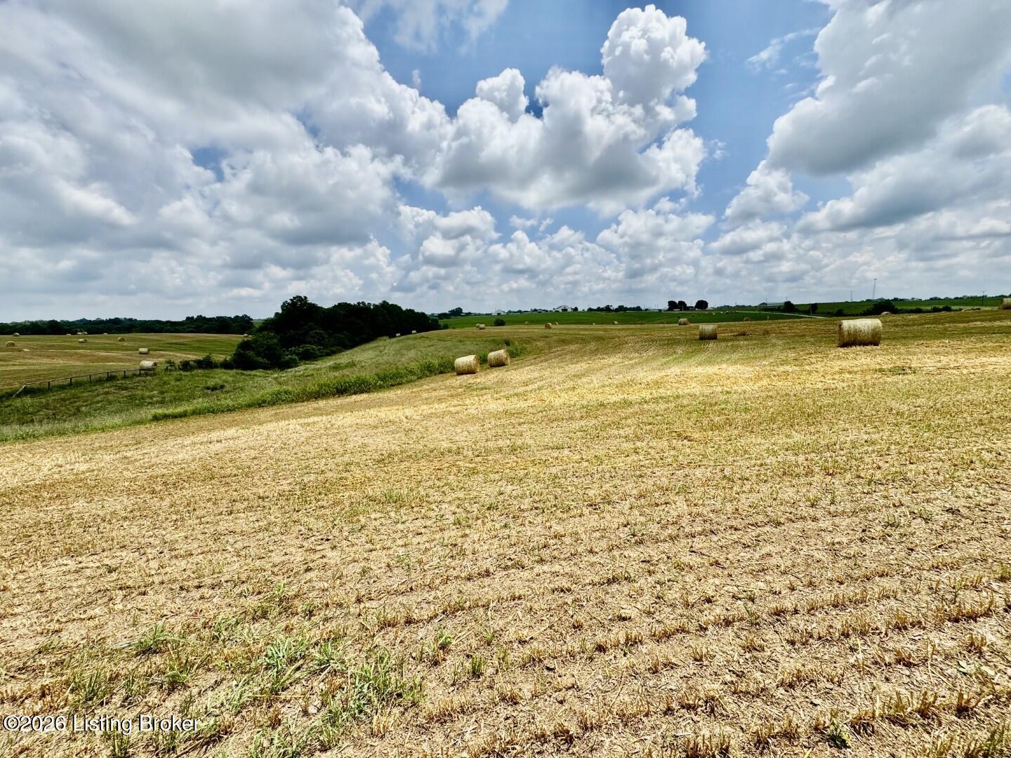 1656-3 Old Perryville Loop Property Photo 2