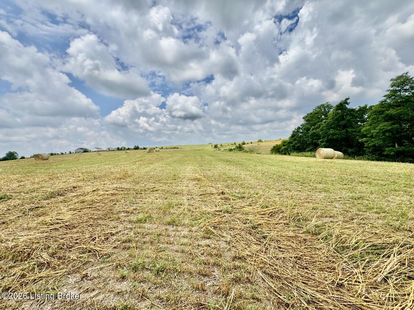 1656-3 Old Perryville Loop Property Photo 3