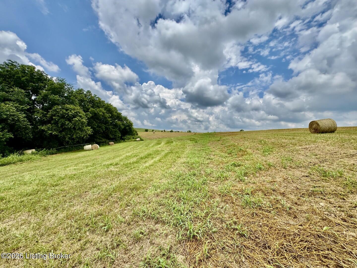 1656-3 Old Perryville Loop Property Photo 4