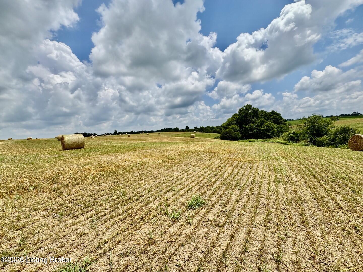 1656-3 Old Perryville Loop Property Photo 5