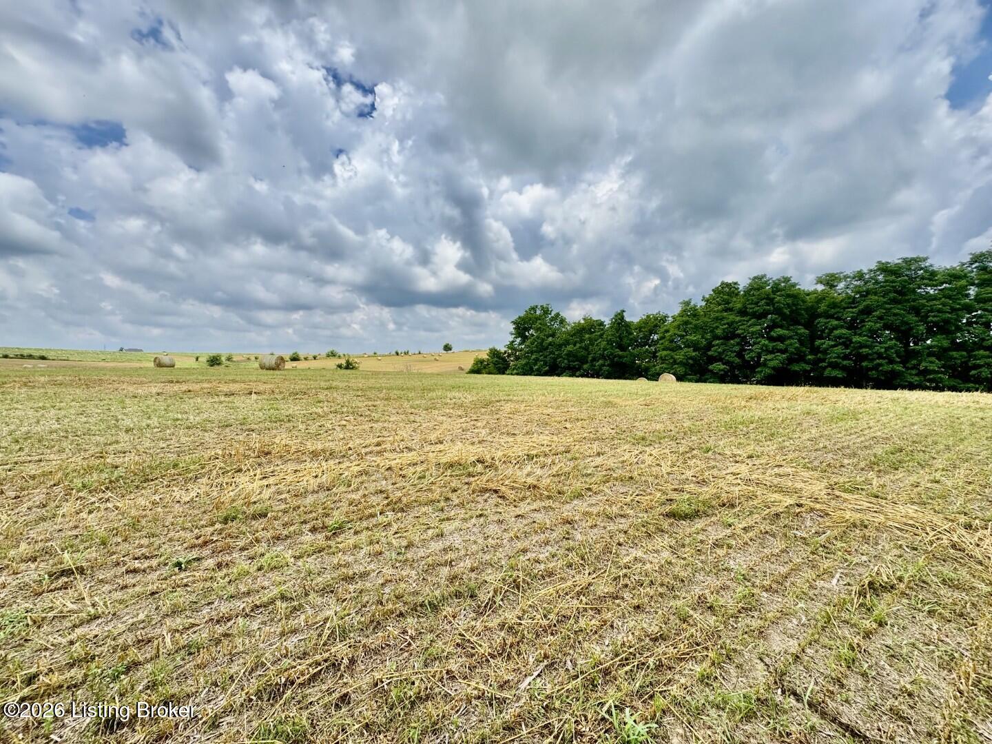 1656-3 Old Perryville Loop Property Photo 6