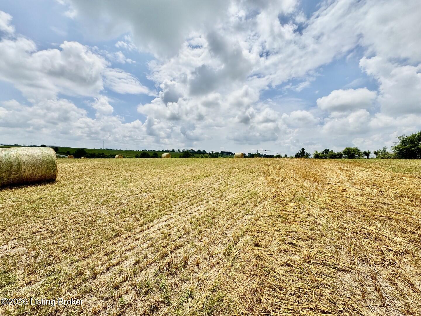 1656-1 Old Perryville Loop Property Photo 3