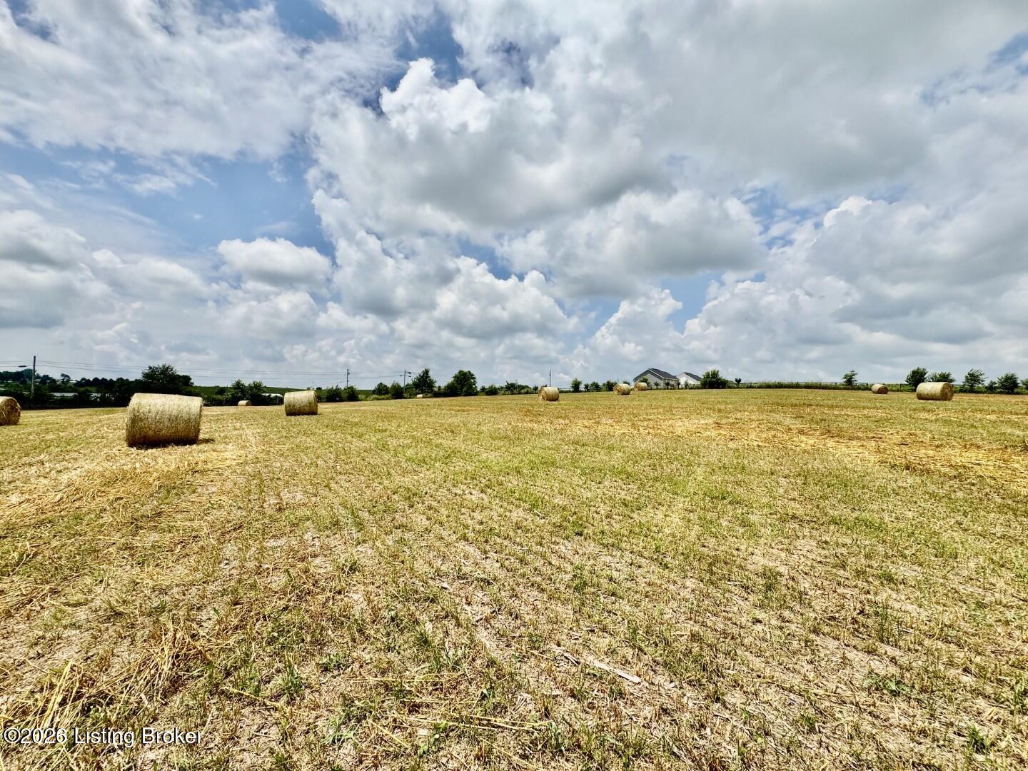 1656-1 Old Perryville Loop Property Photo 5