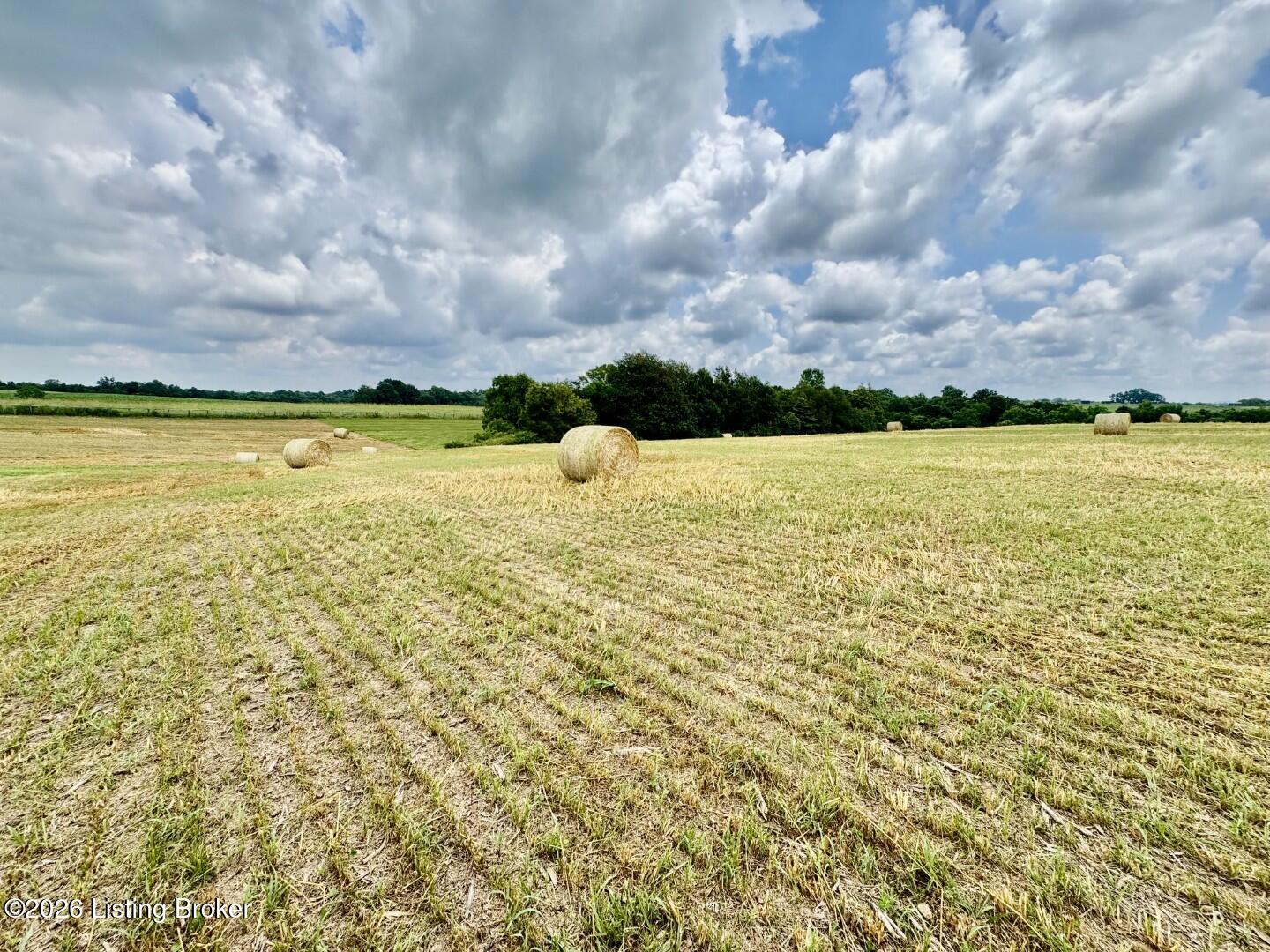 1656-4 Old Perryville Loop Property Photo 4