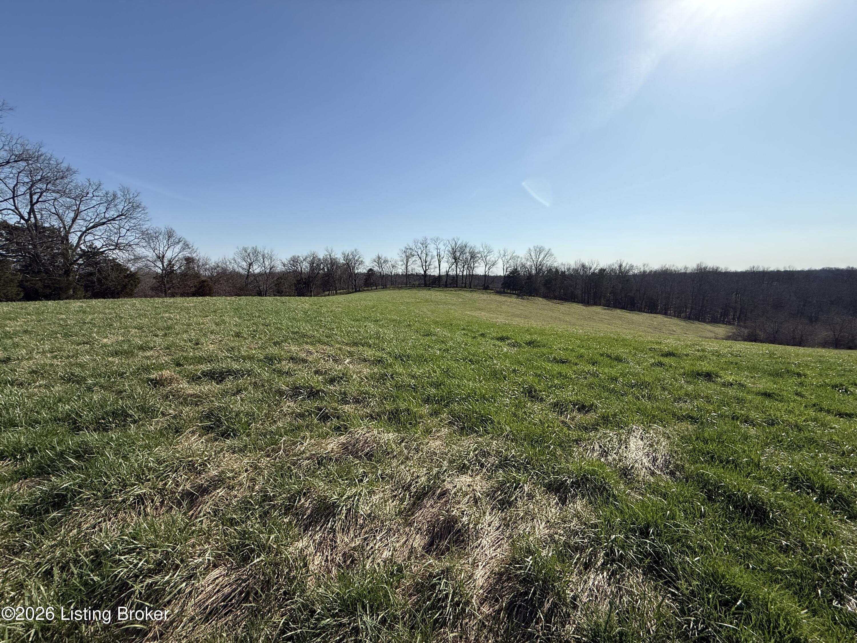 1001 Mike Brown Ln Property Photo 1