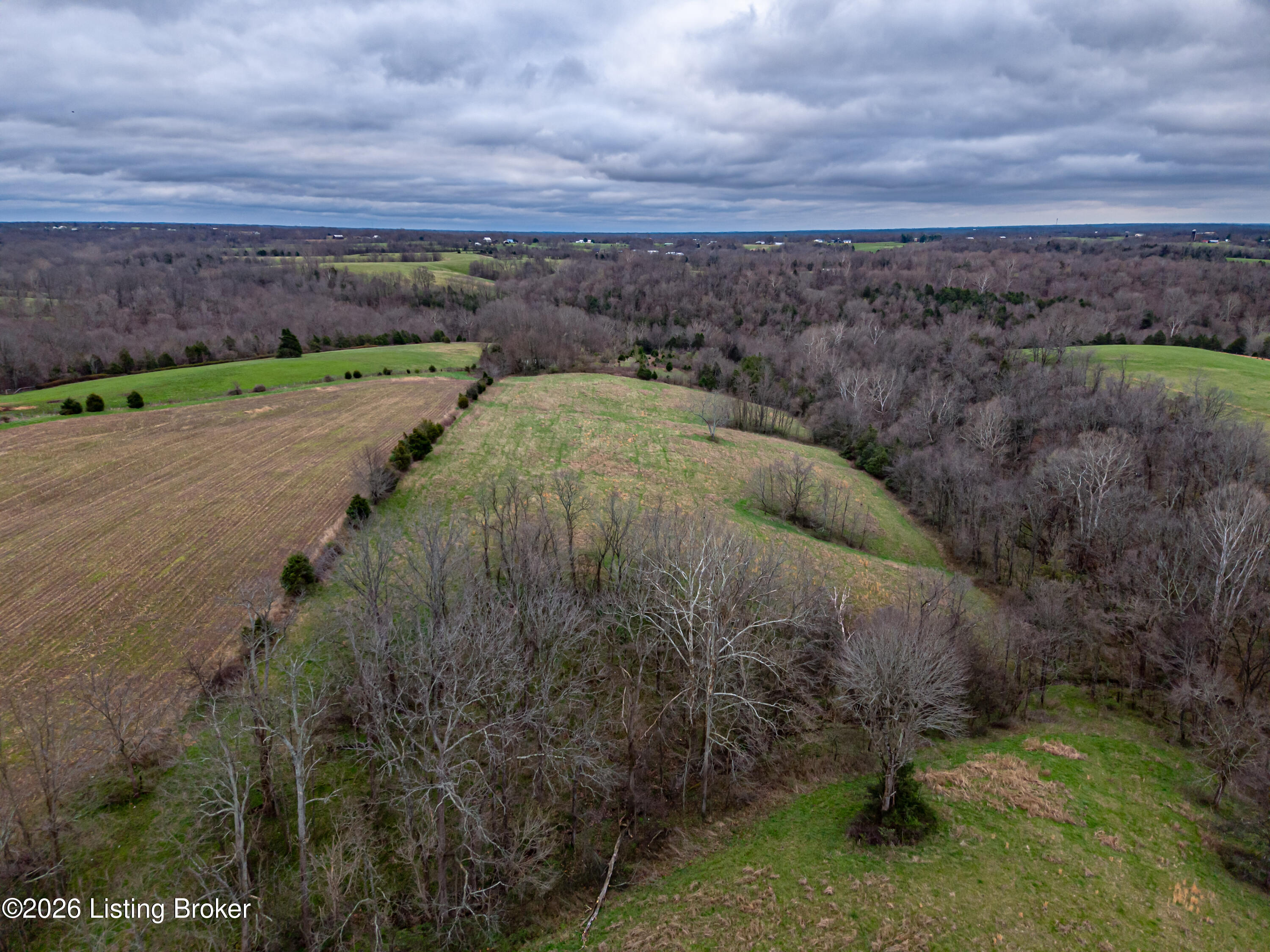 1529 Martin Nethery Rd Property Photo 43