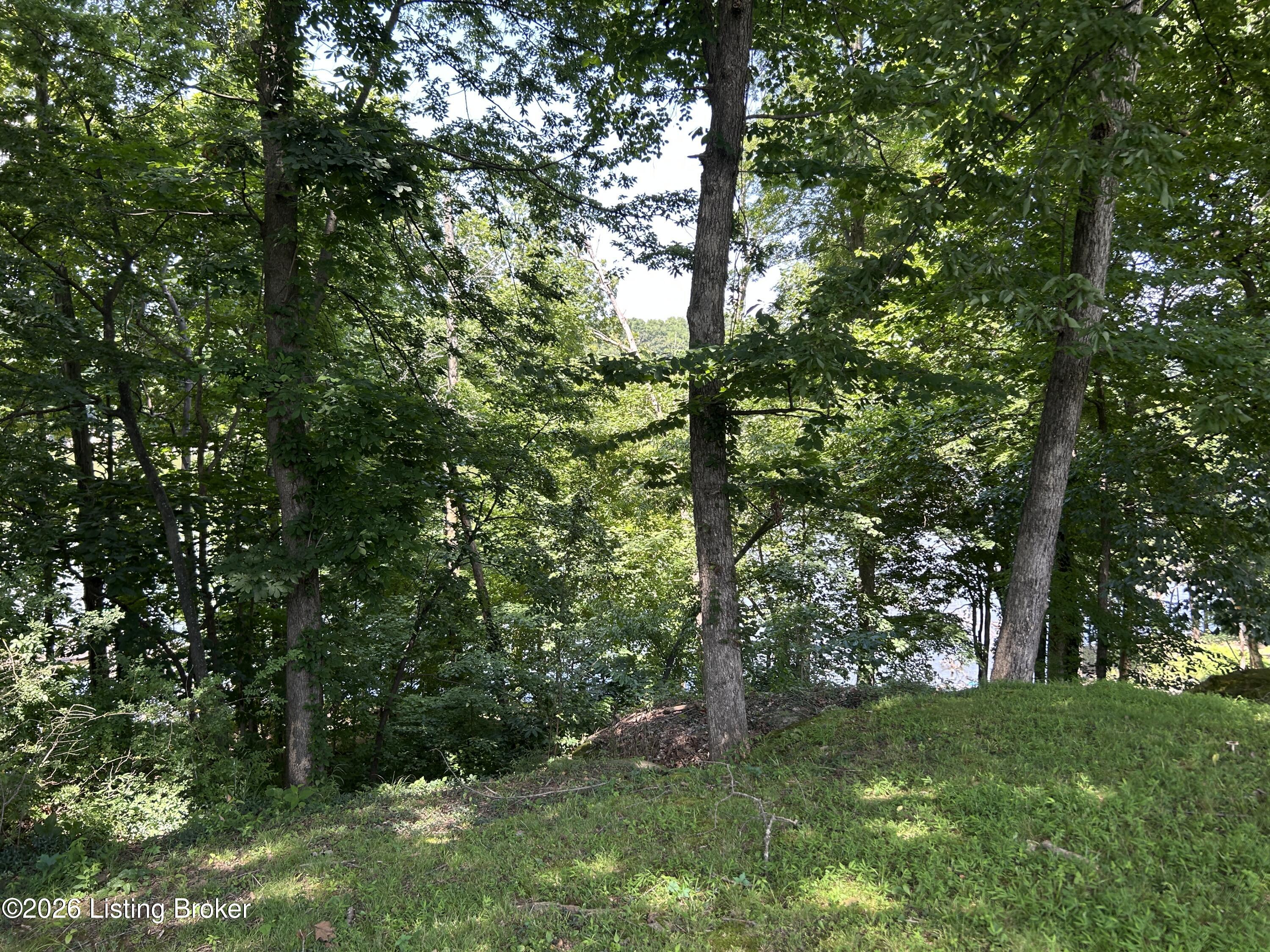 2968 Cannons Point Ln Property Photo 56