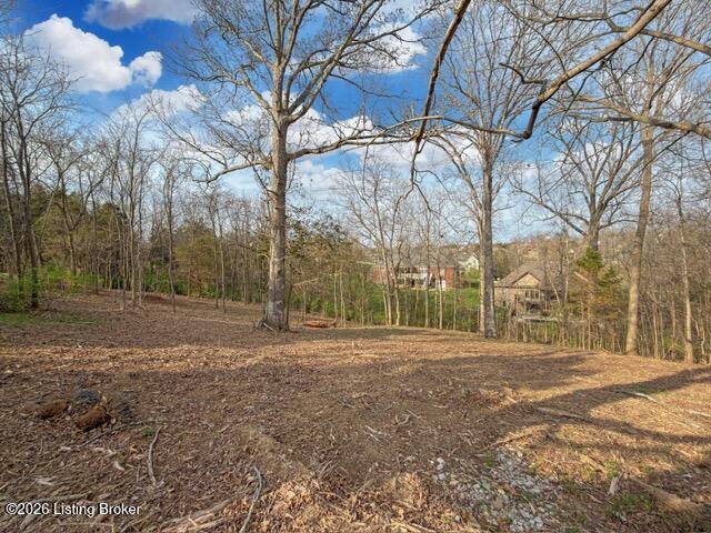 0 Lot 132 Oak Leaf Ct Property Photo 1