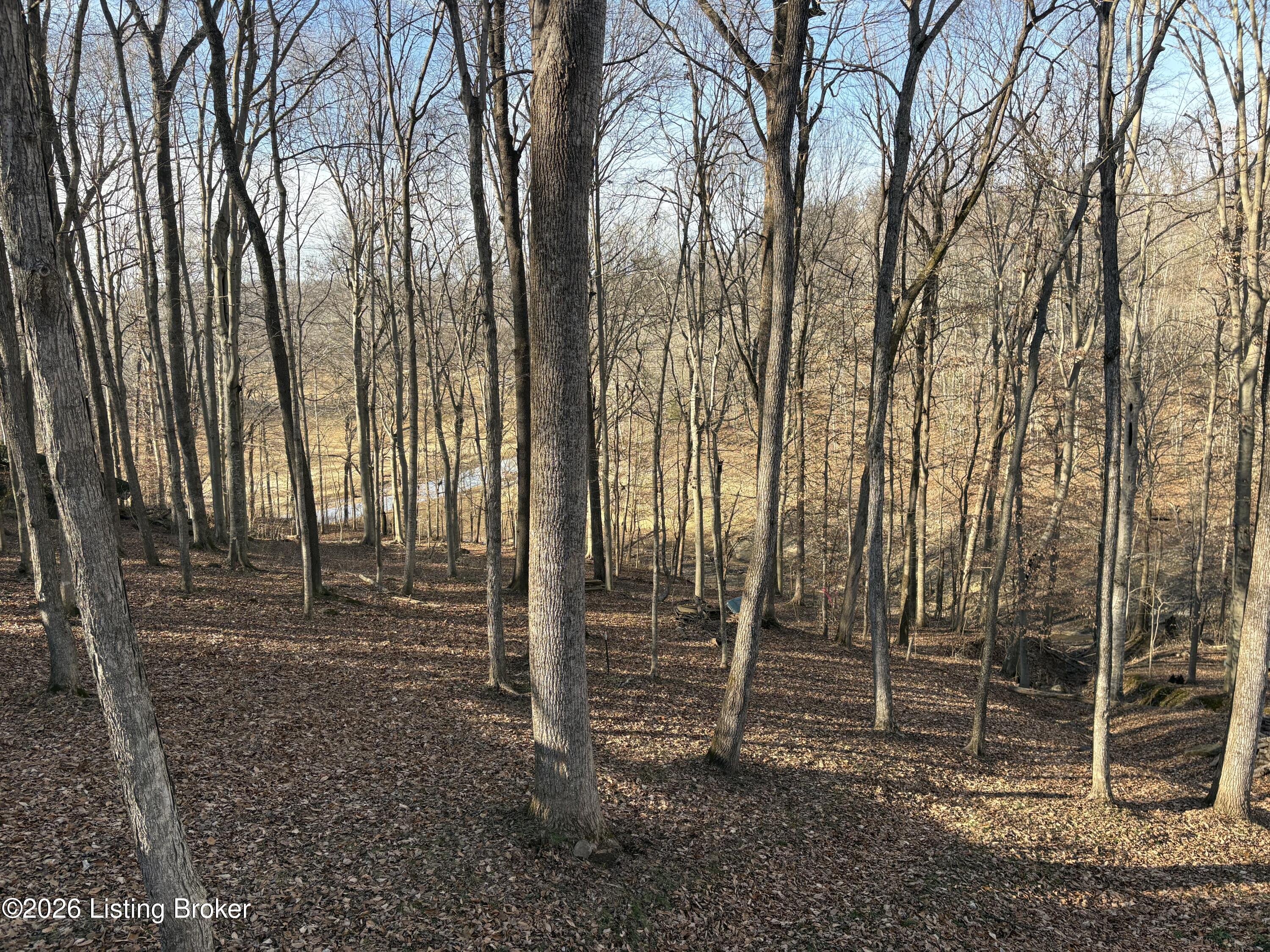 362 Tules Landing Ln Property Photo 8