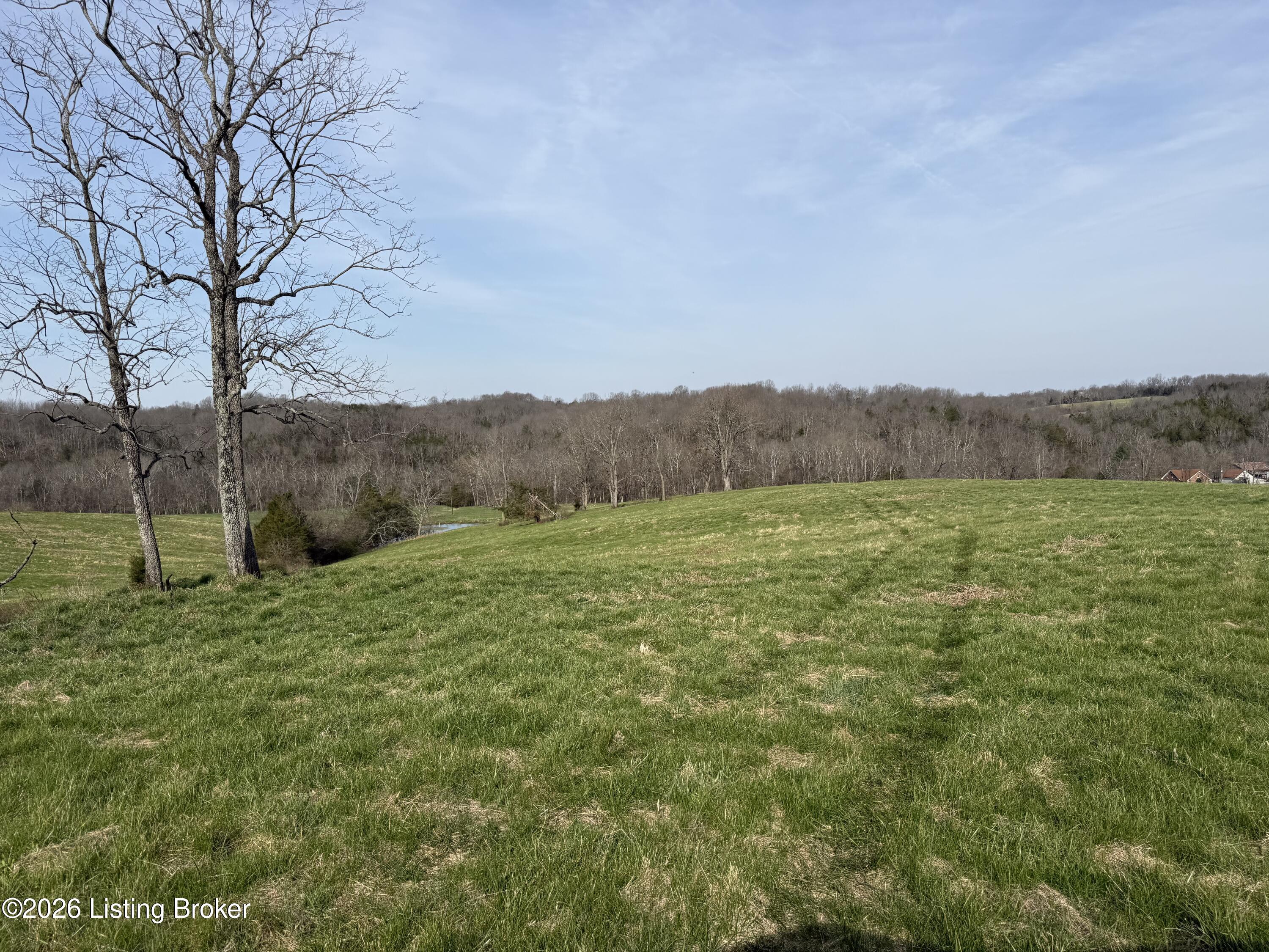 1111 Mike Brown Ln Property Photo 2