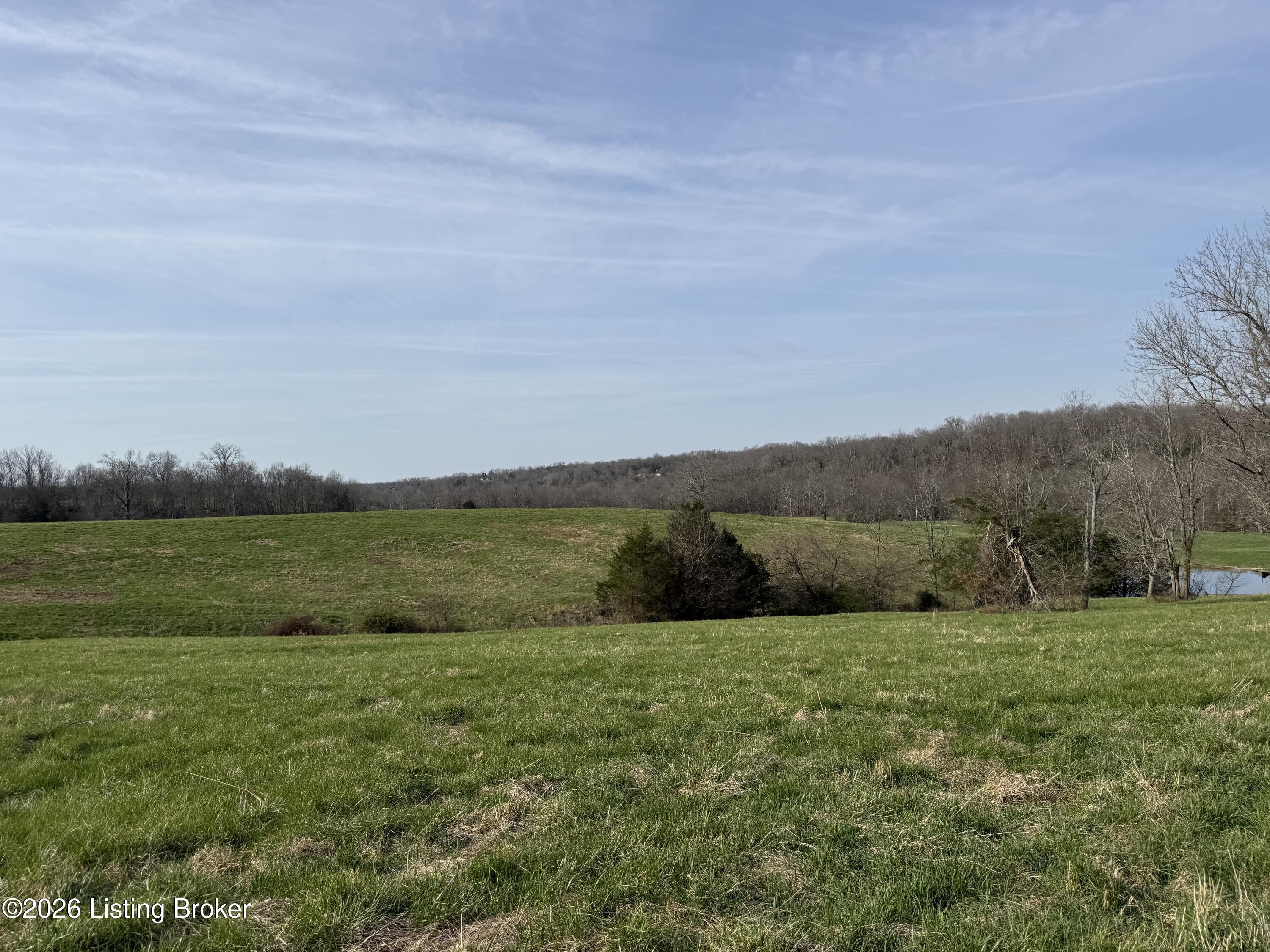 1111 Mike Brown Ln Property Photo 11