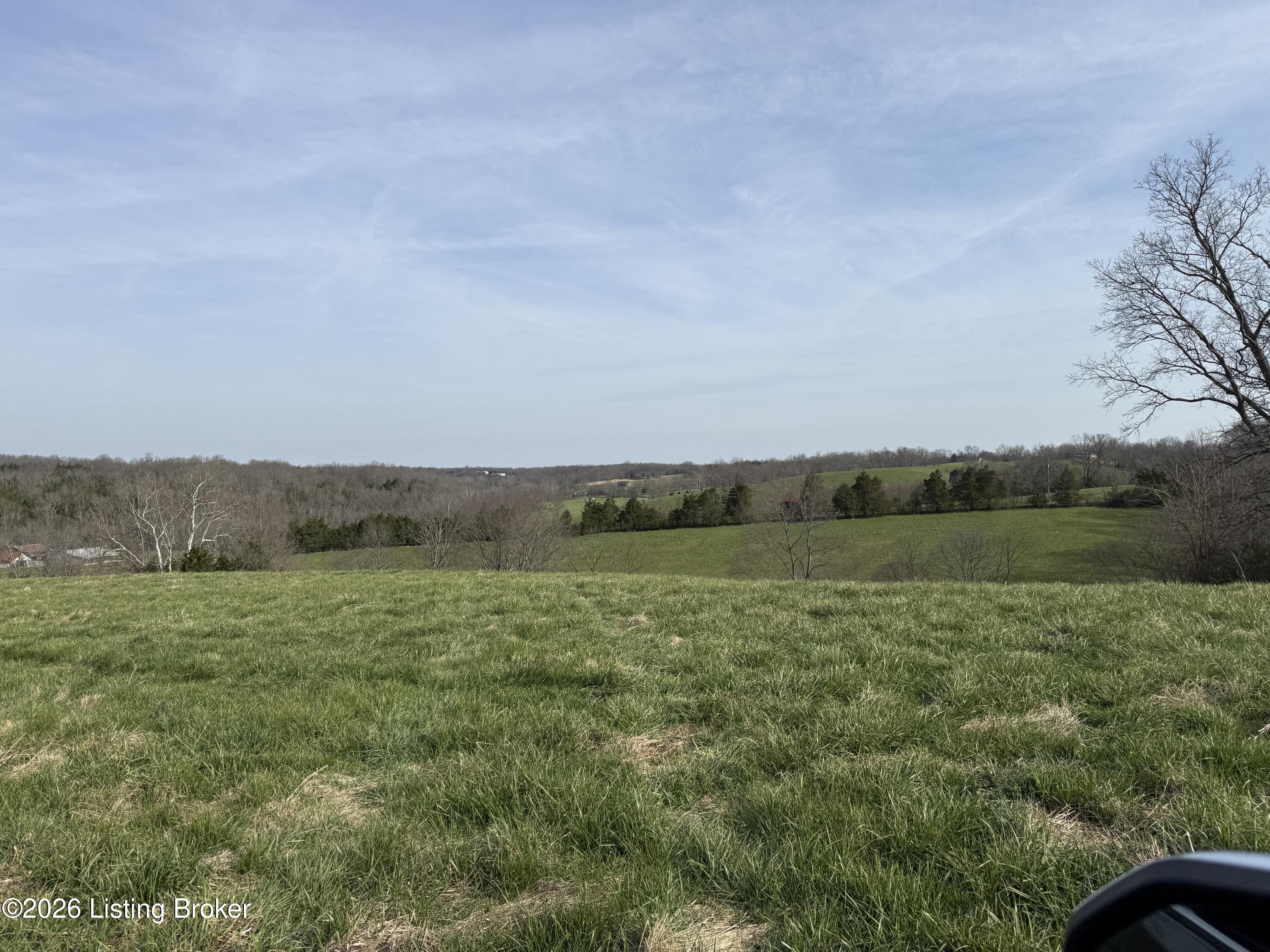1005 Mike Brown Ln Property Photo 2