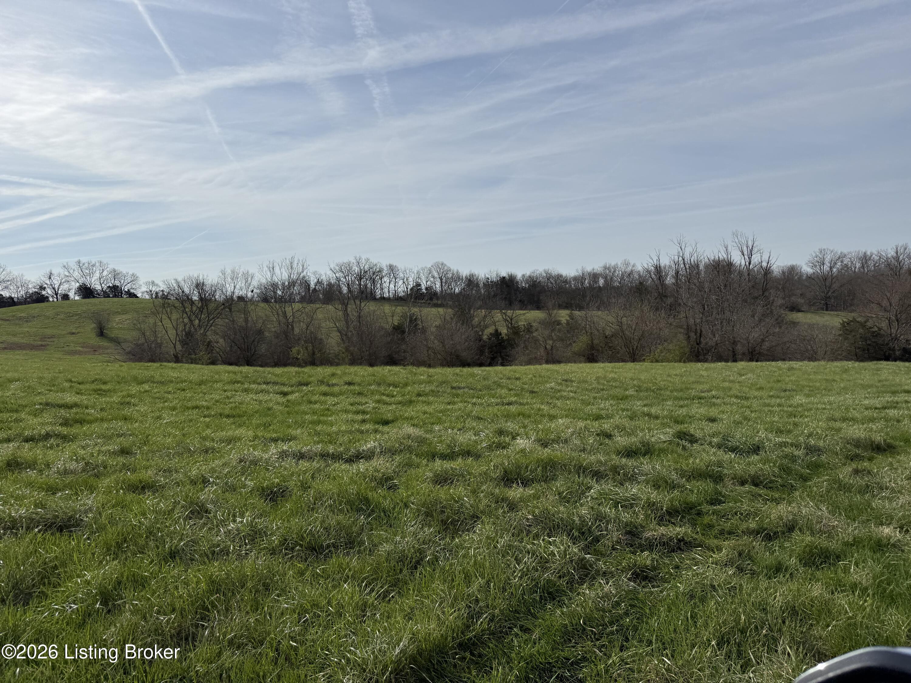 1005 Mike Brown Ln Property Photo 3