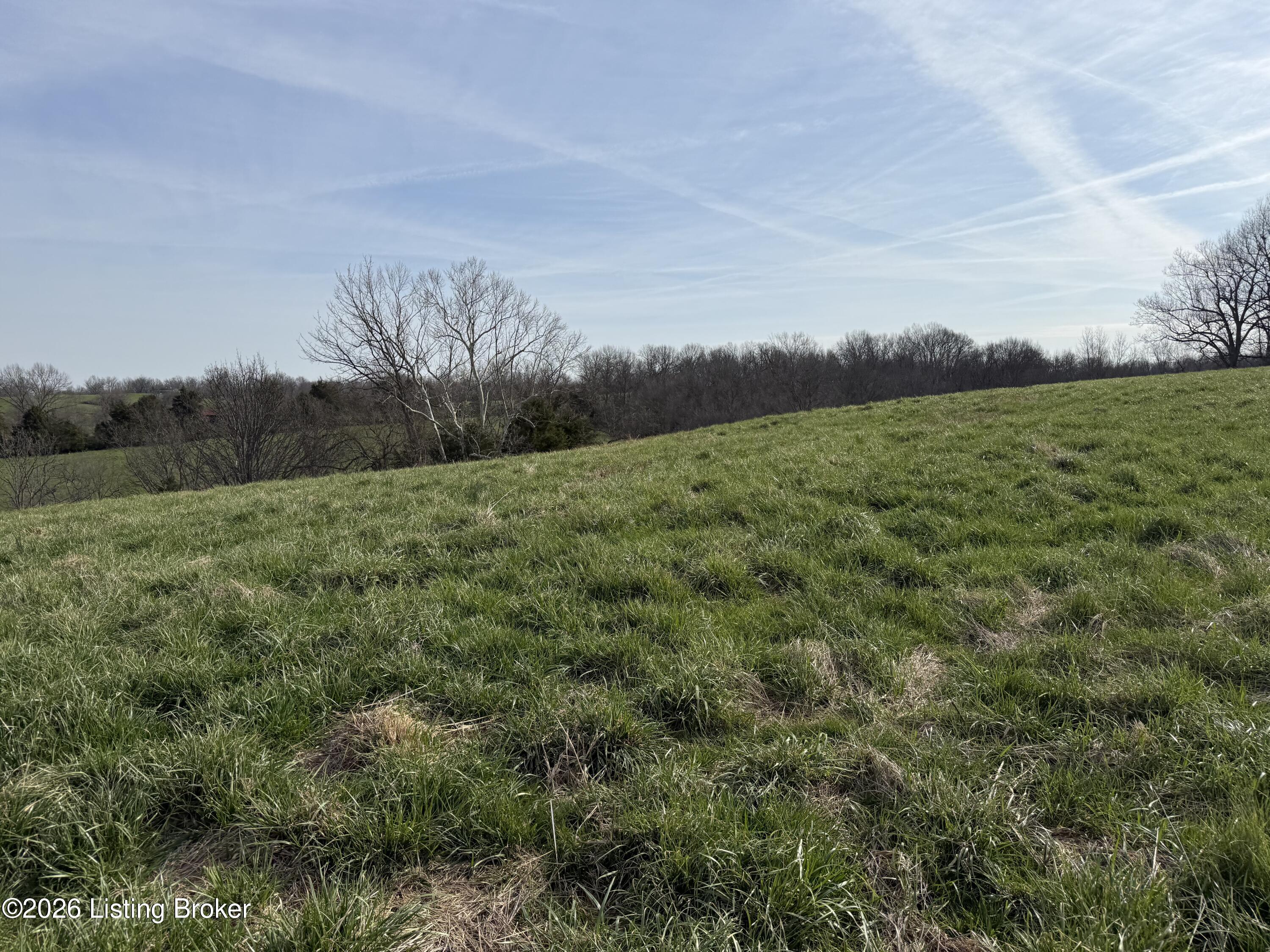 1005 Mike Brown Ln Property Photo 6