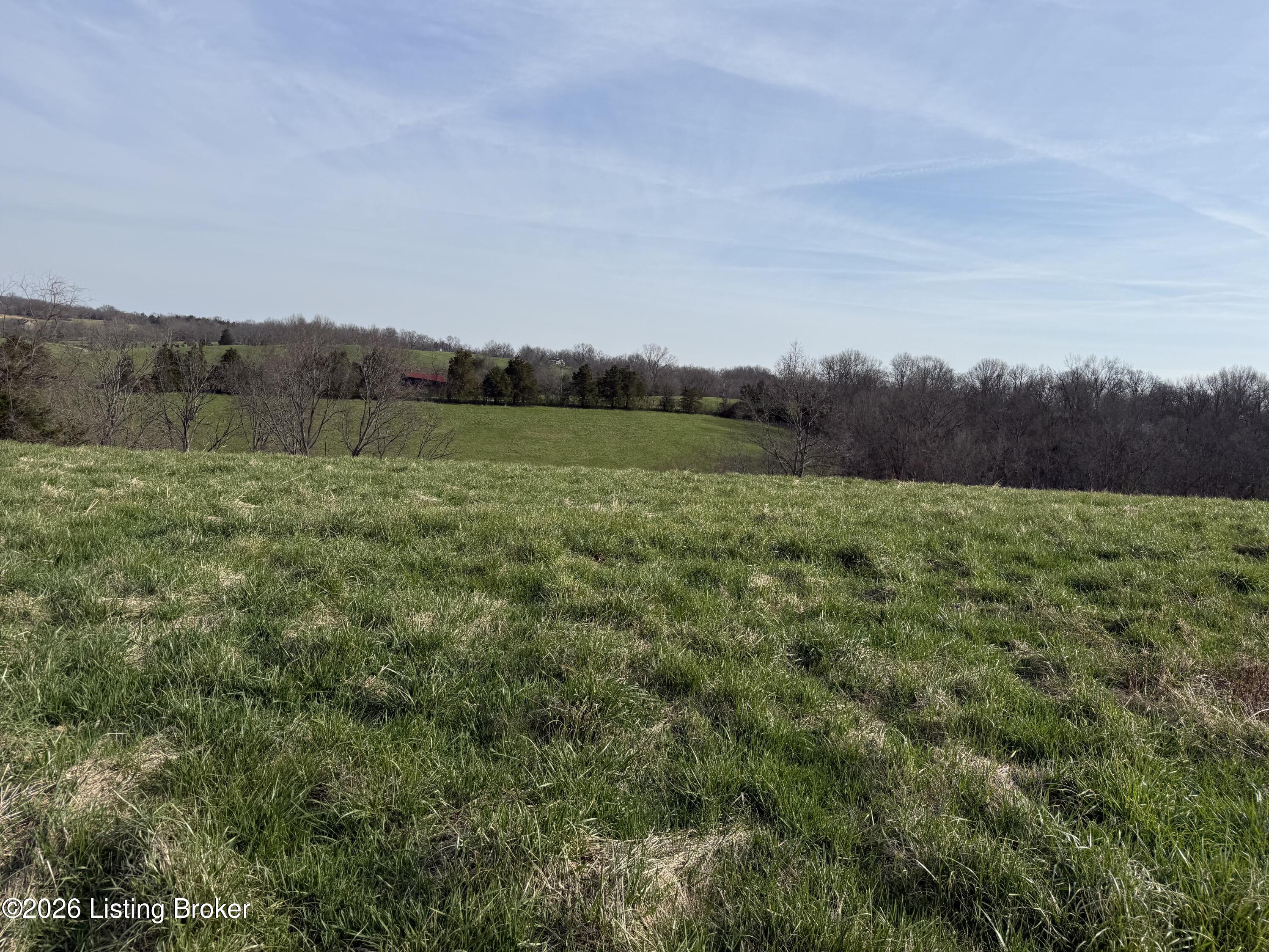 1005 Mike Brown Ln Property Photo 7