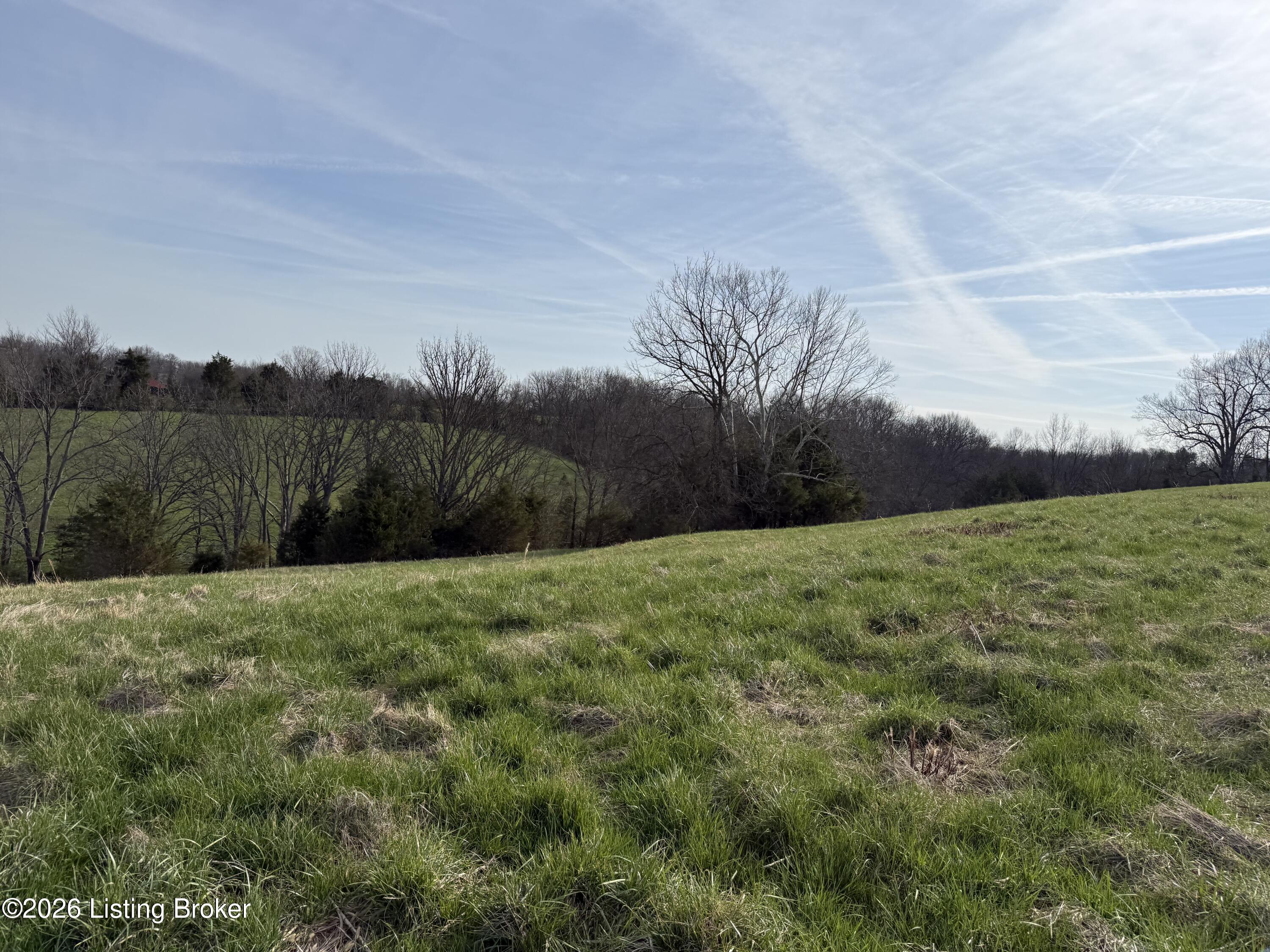 1005 Mike Brown Ln Property Photo 8