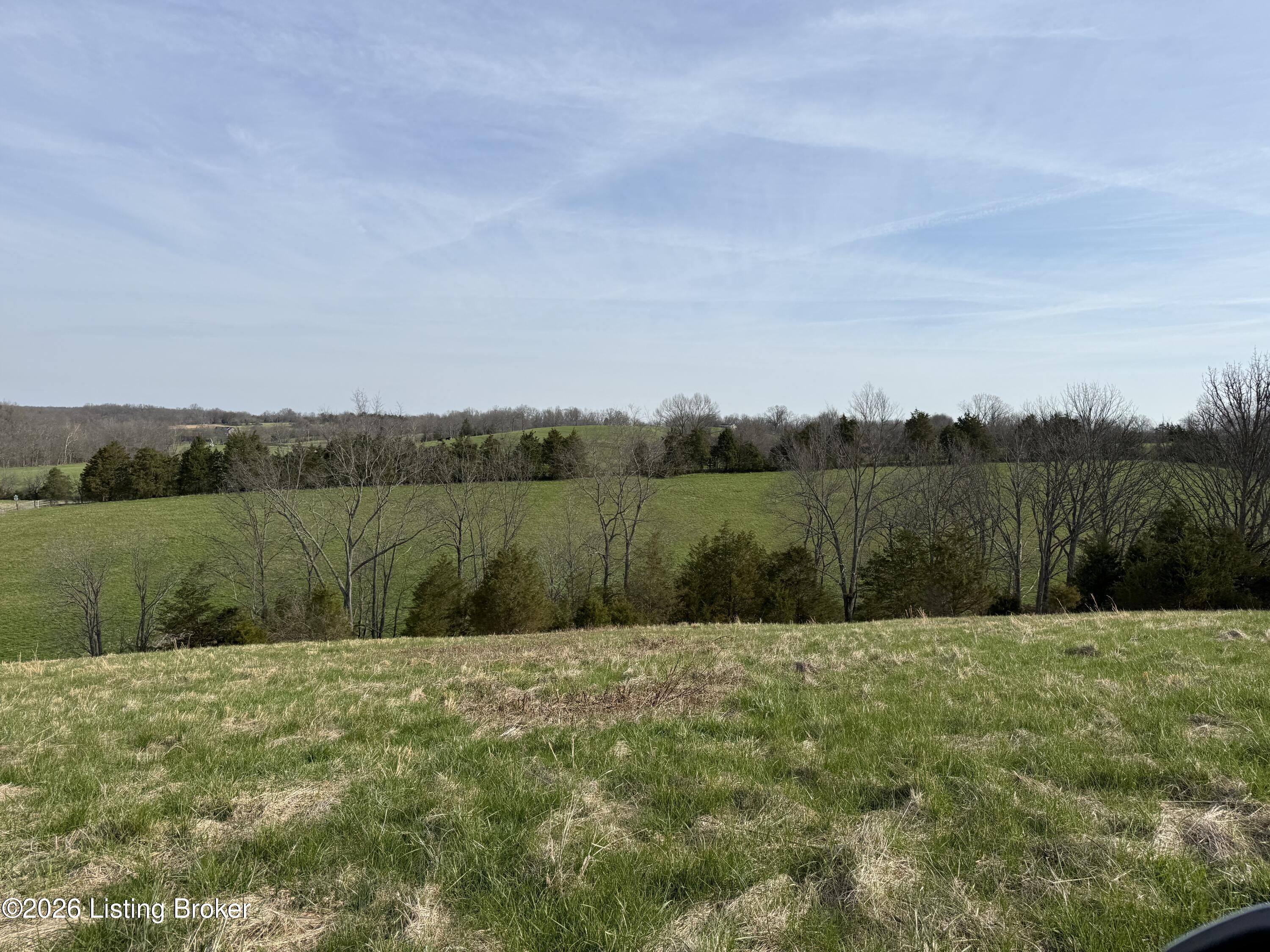 1005 Mike Brown Ln Property Photo 9