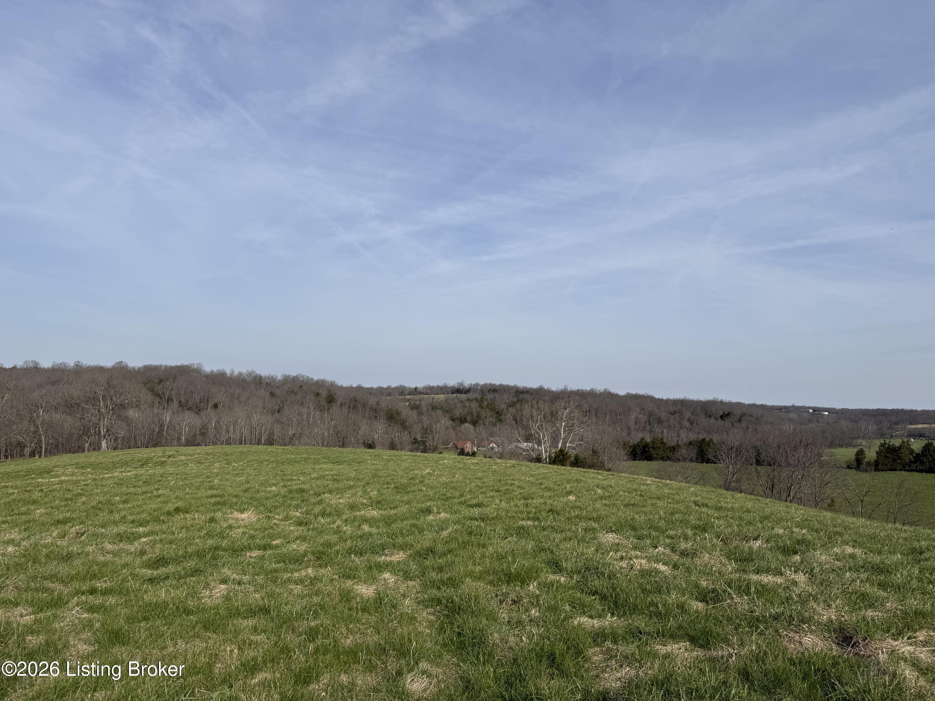 1005 Mike Brown Ln Property Photo 10