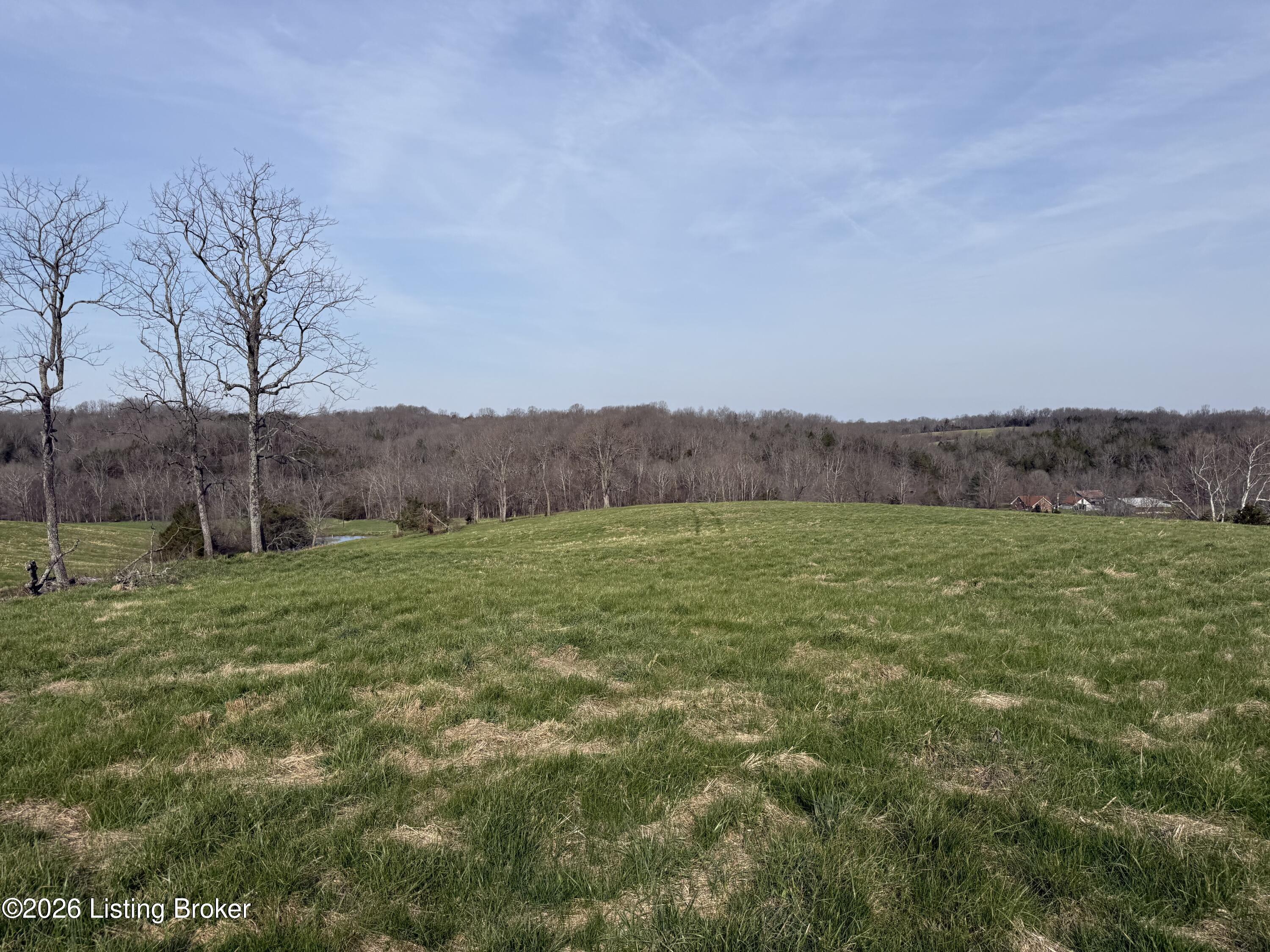 1005 Mike Brown Ln Property Photo 11