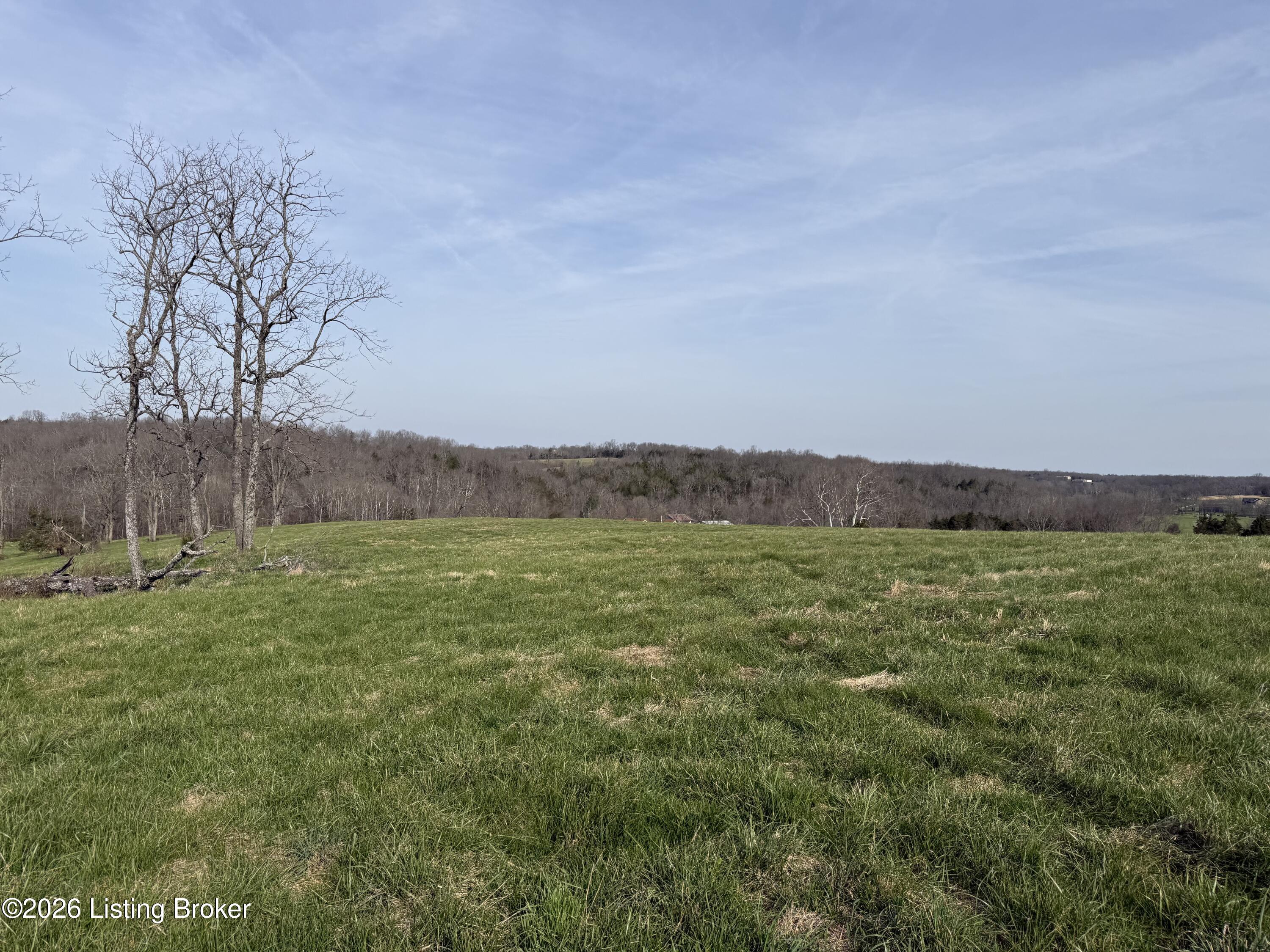 1005 Mike Brown Ln Property Photo 12
