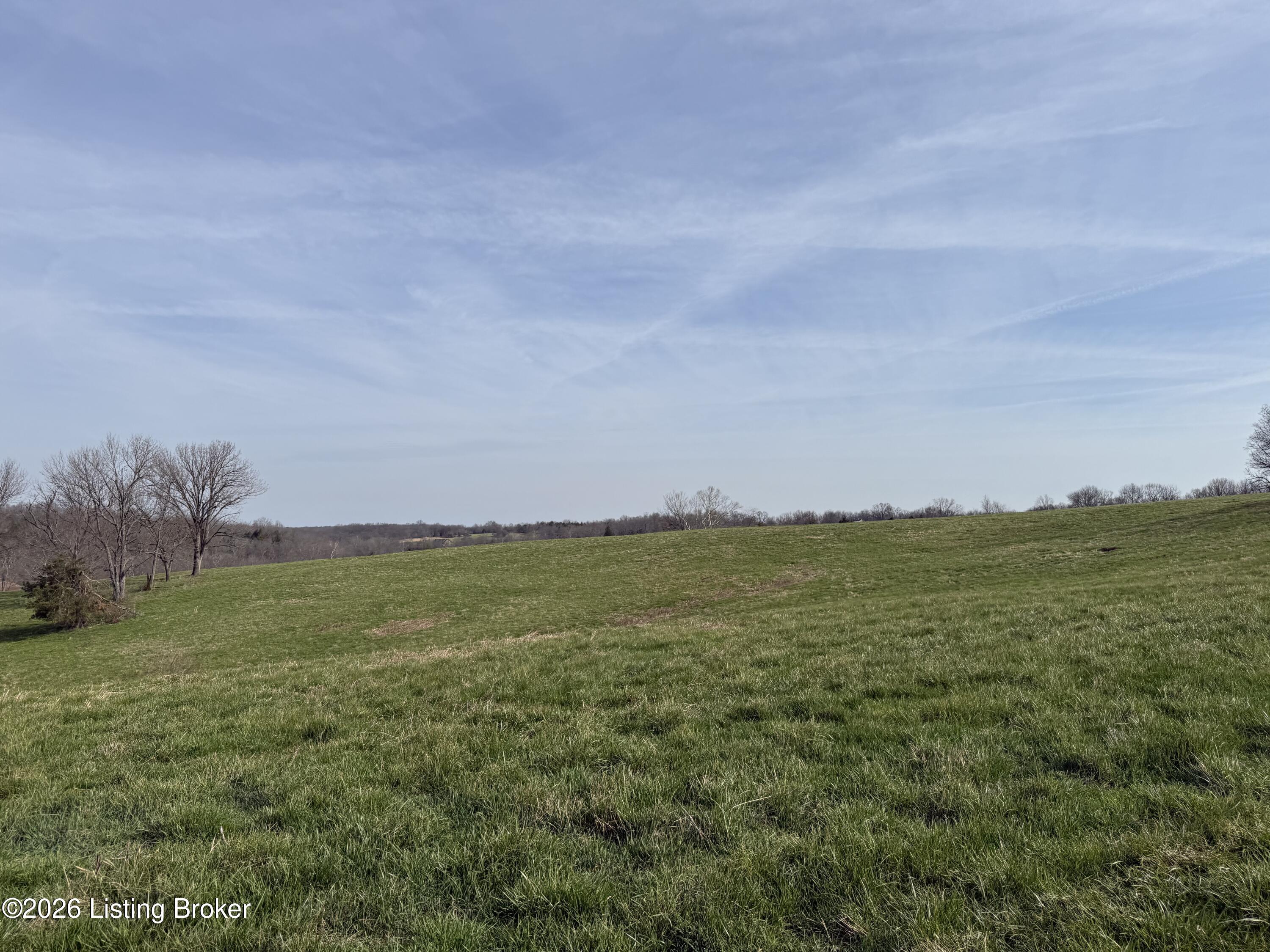 1005 Mike Brown Ln Property Photo 13