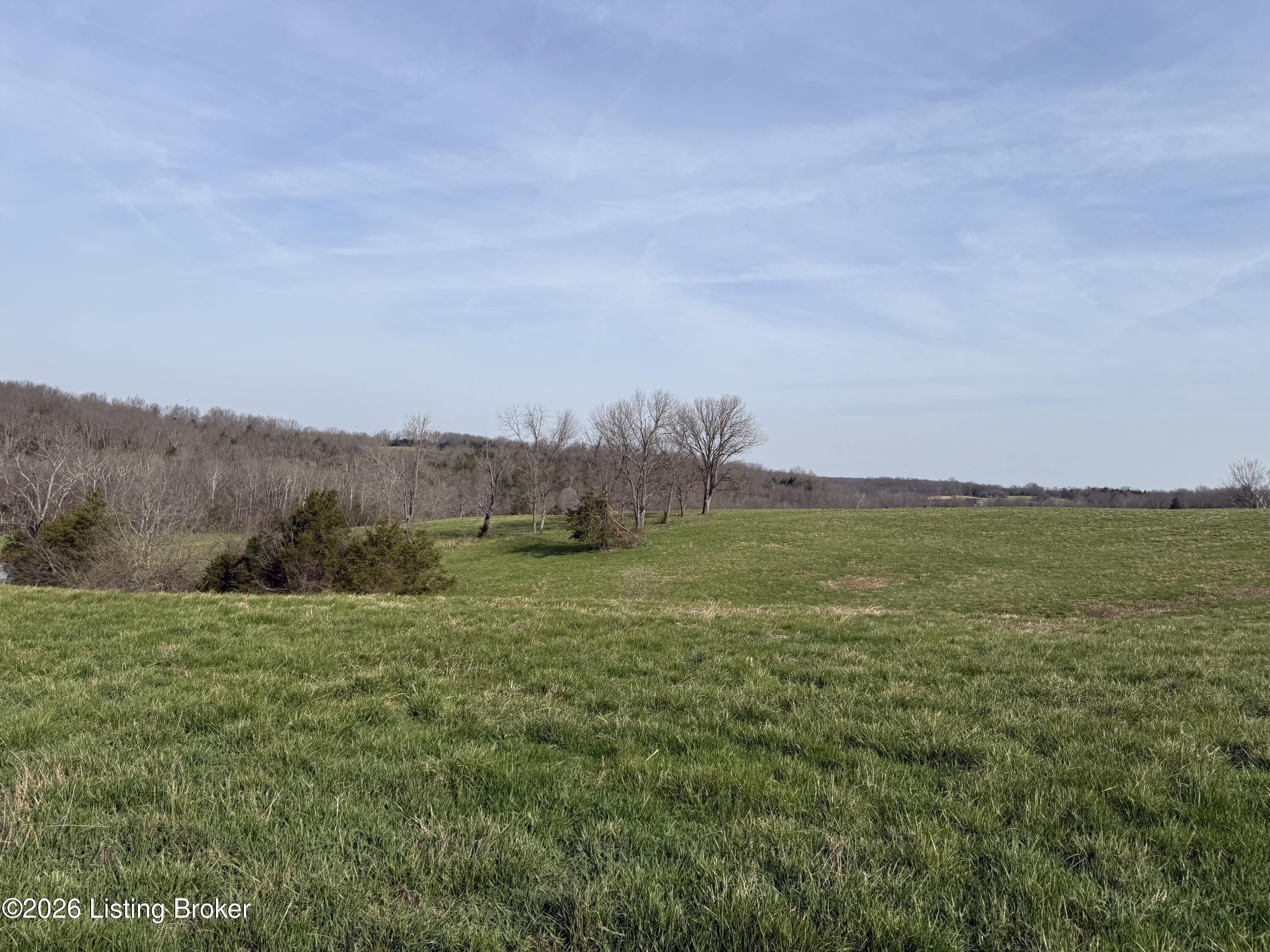 1005 Mike Brown Ln Property Photo 14