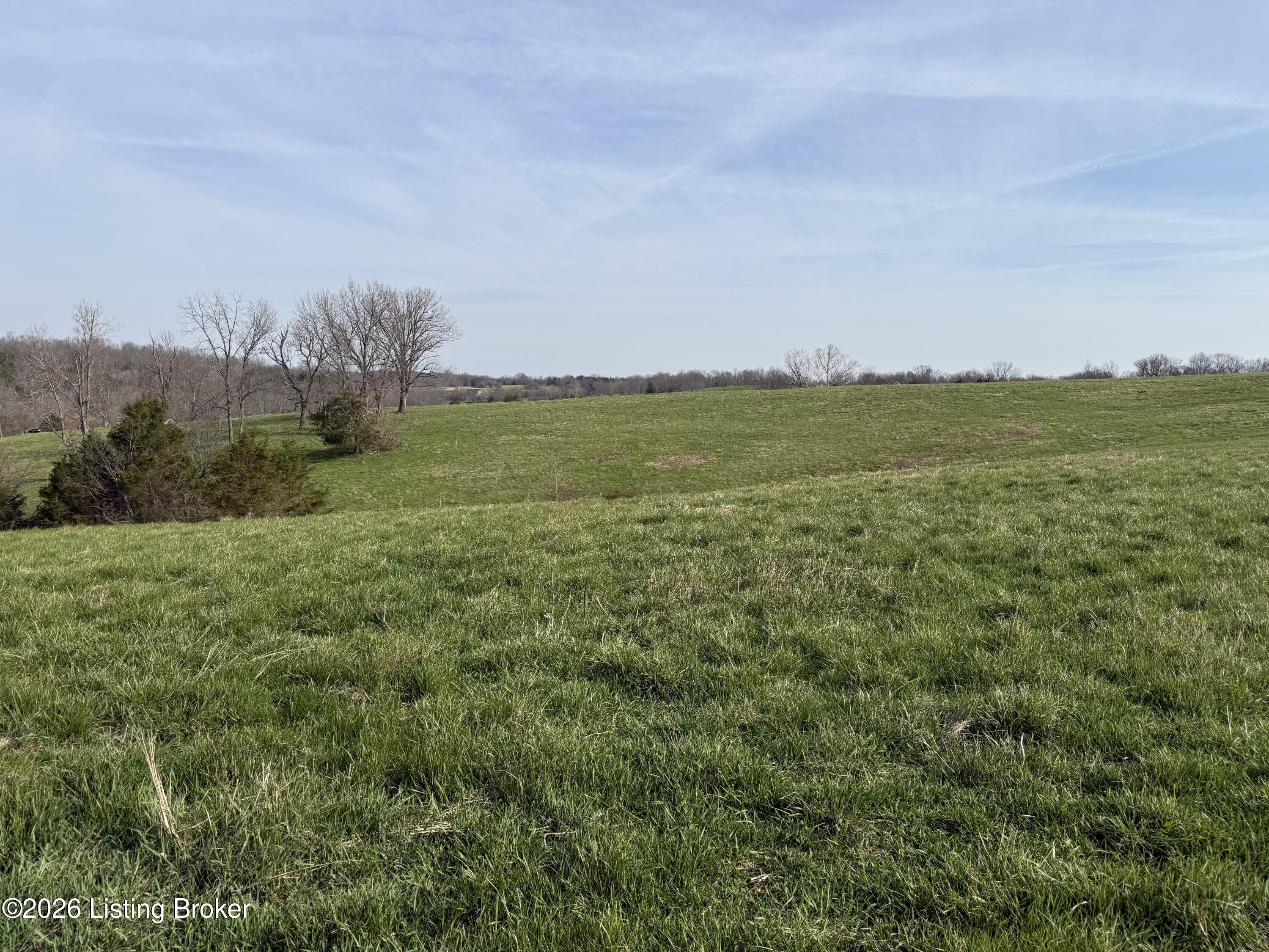 1005 Mike Brown Ln Property Photo 15