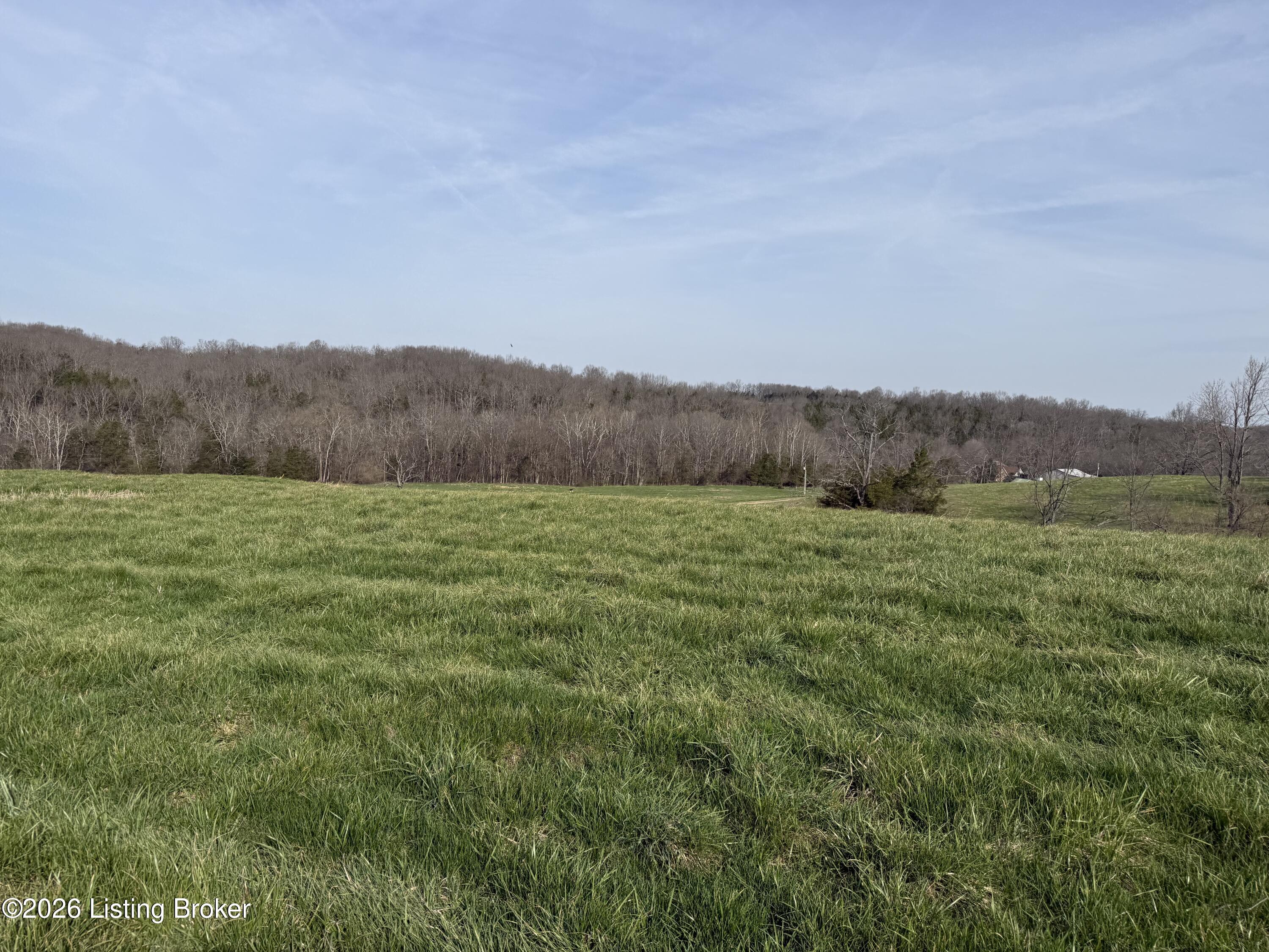 1005 Mike Brown Ln Property Photo 16