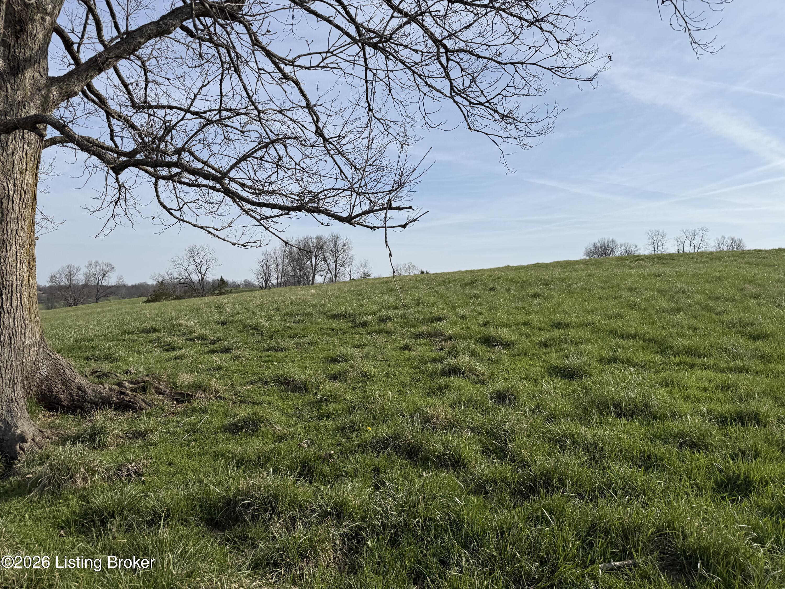 1005 Mike Brown Ln Property Photo 17