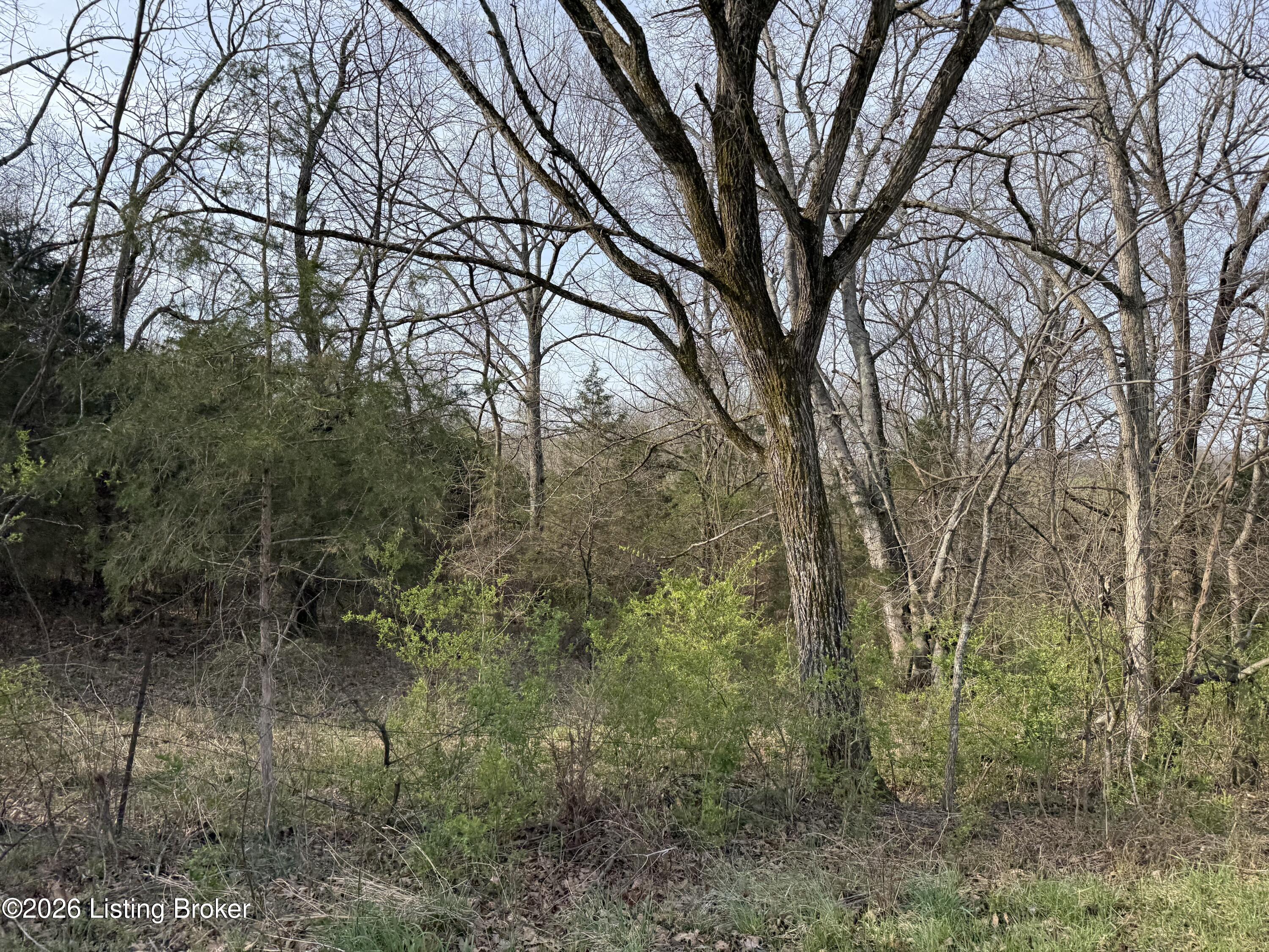1005 Mike Brown Ln Property Photo 18