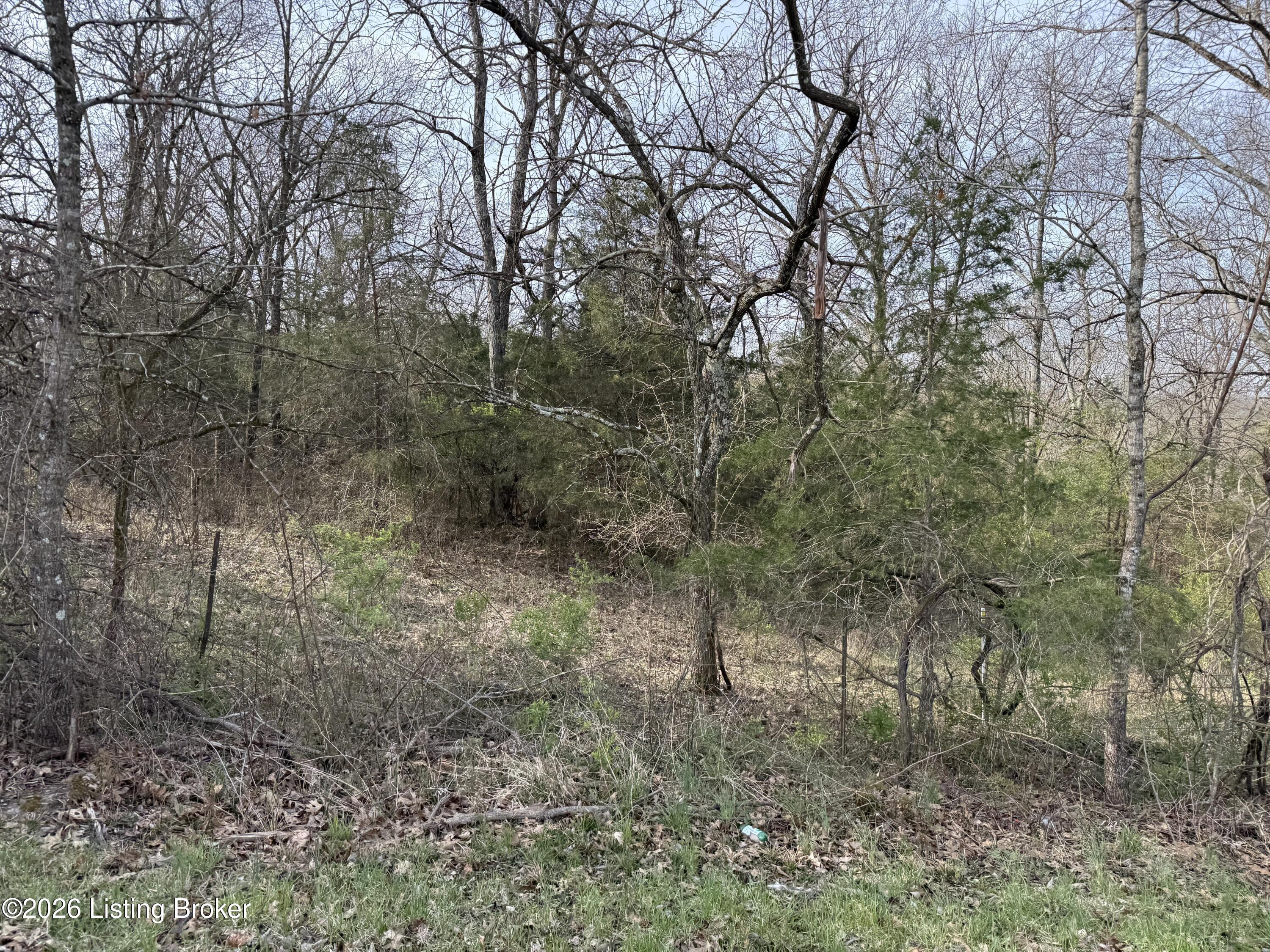 1005 Mike Brown Ln Property Photo 19