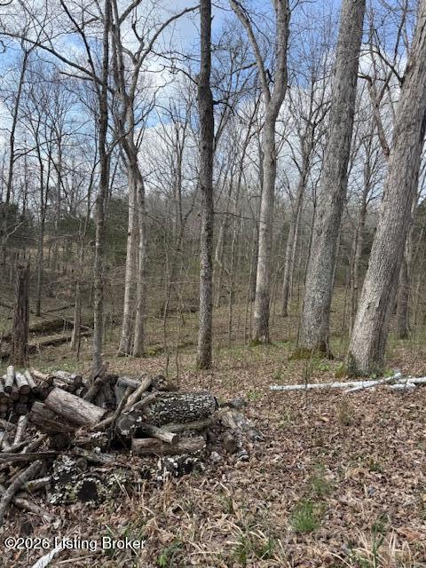 1310 Fox Cliff Rd Property Photo 6