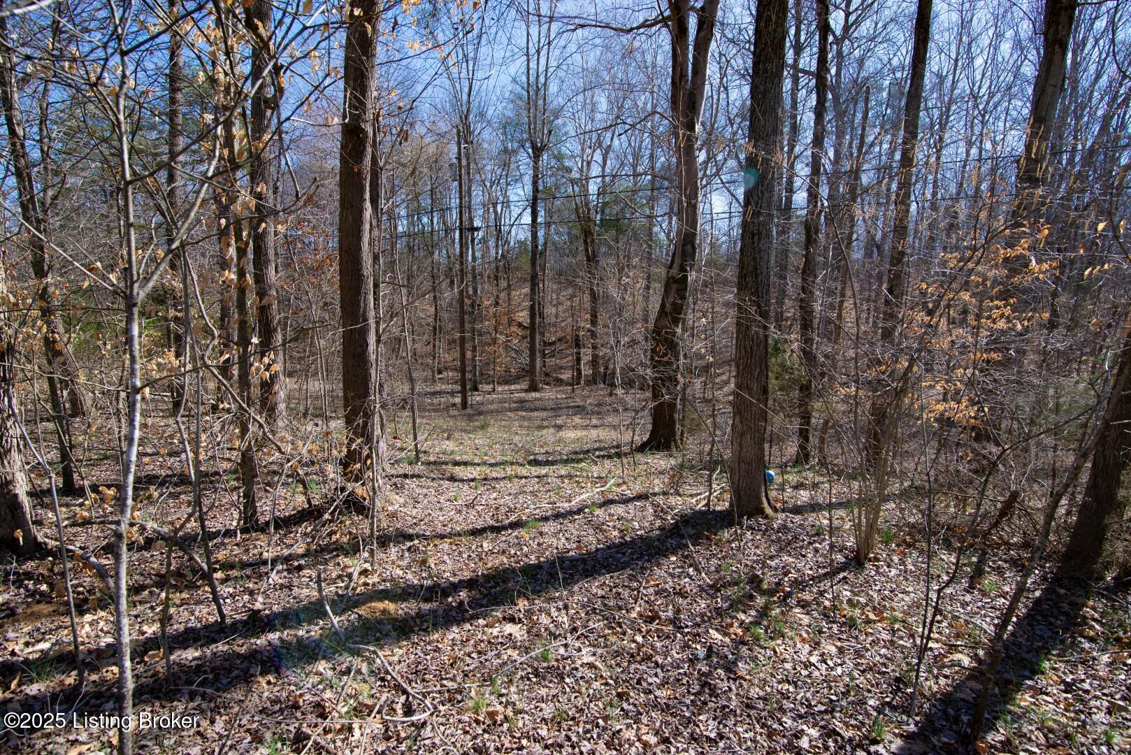 0 Icetown Rd Property Photo 5