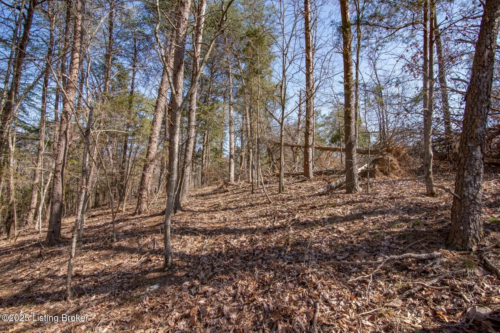 0 Icetown Rd Property Photo 7