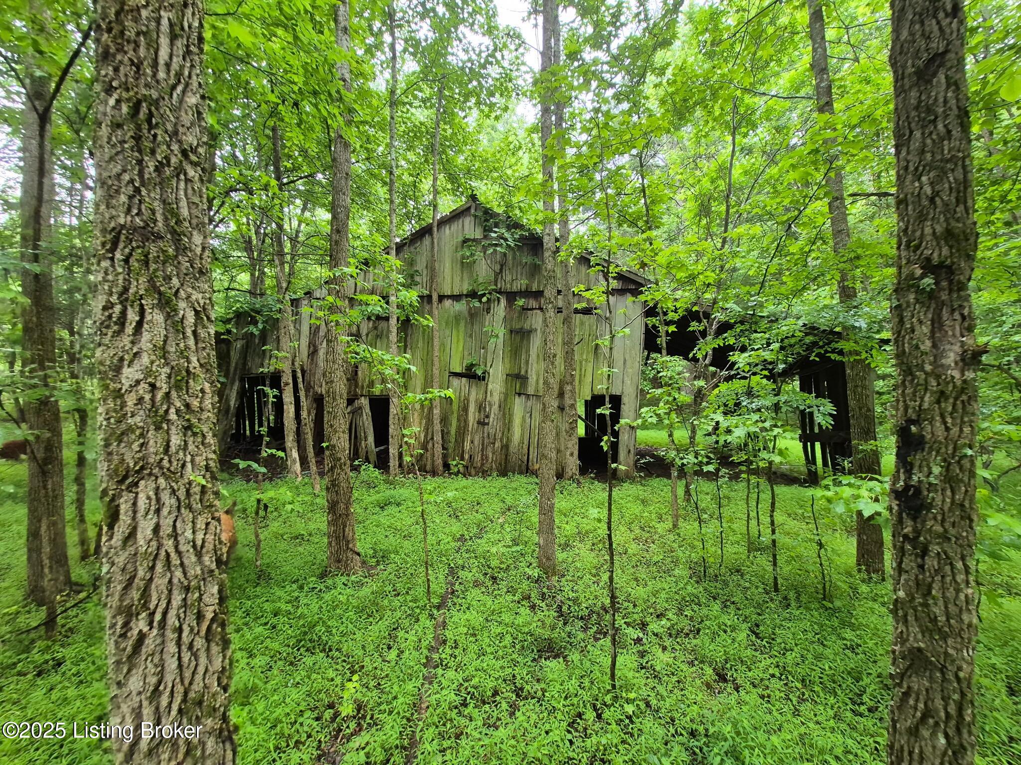 0 Icetown Rd Property Photo 11