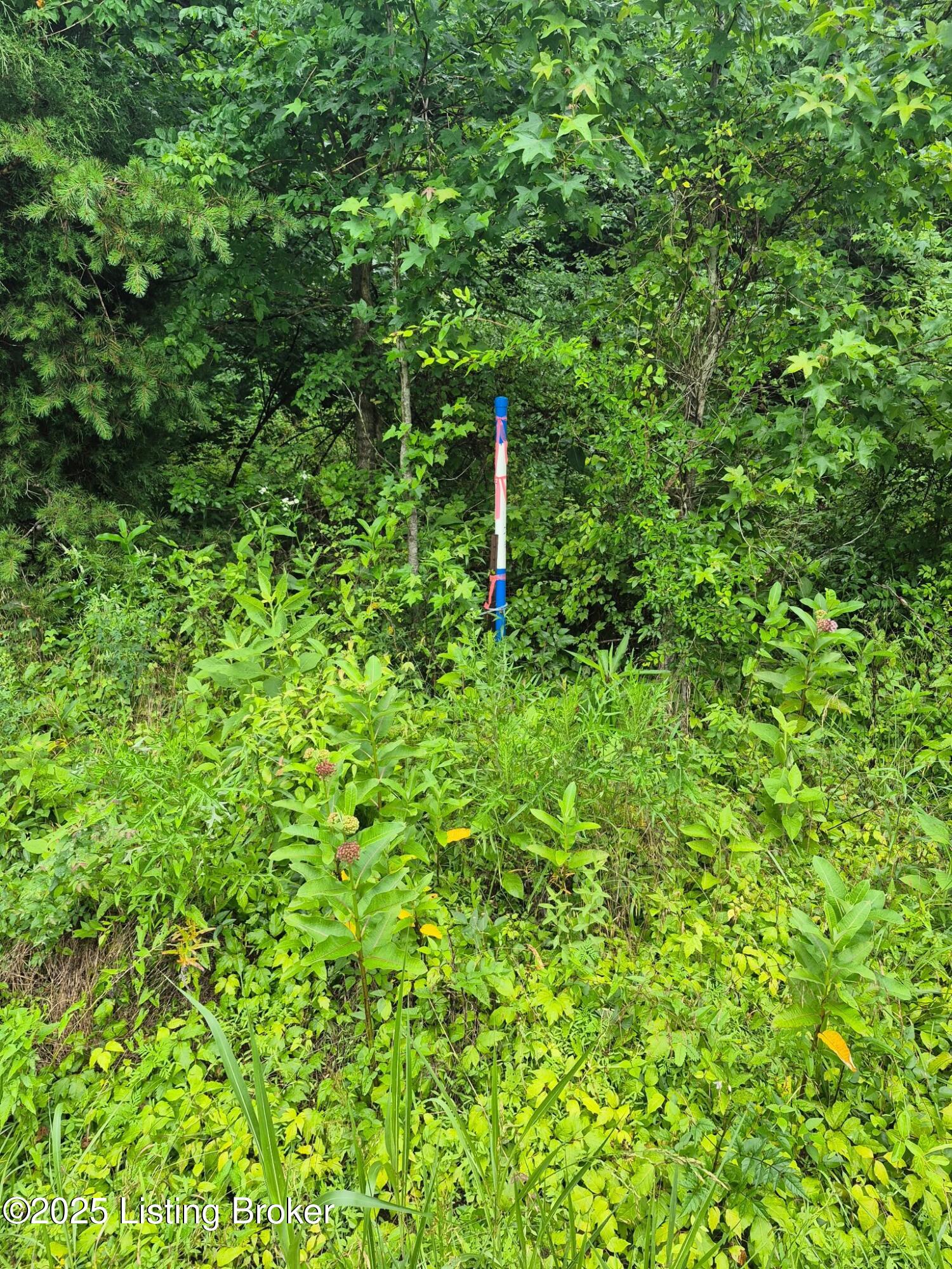 0 Icetown Rd Property Photo 12