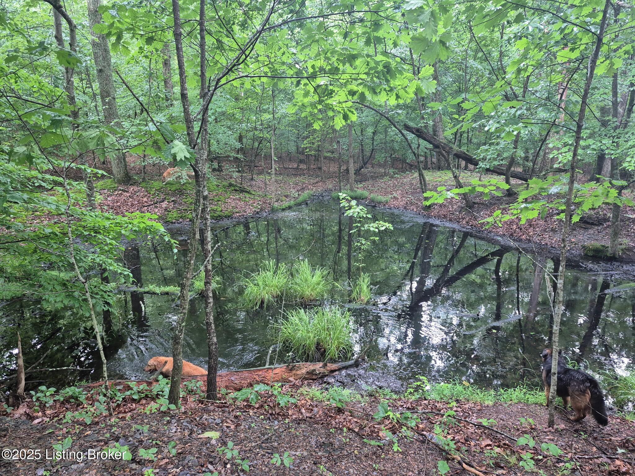 0 Icetown Rd Property Photo 14